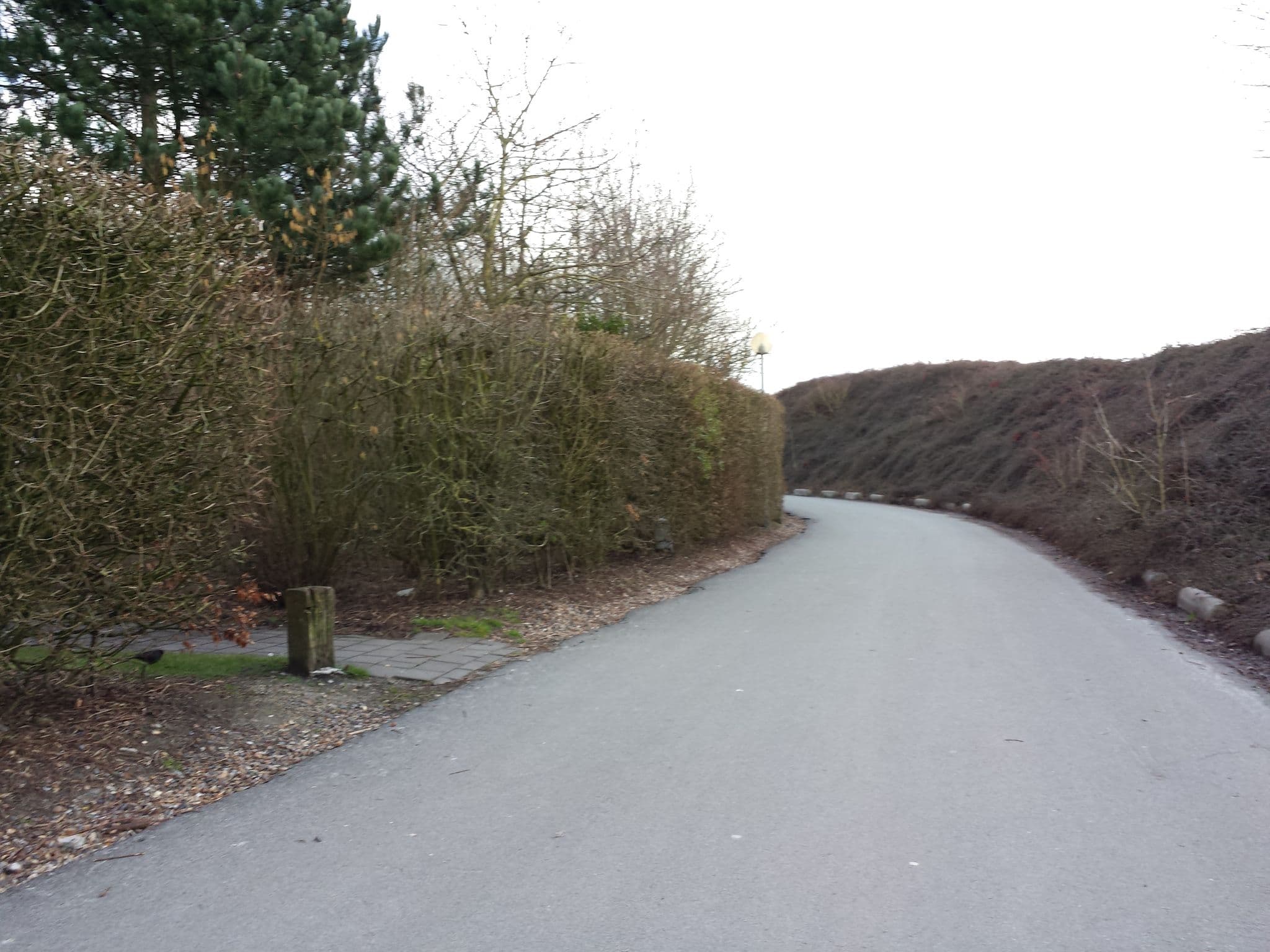 Street view near Cottage 339, Wenduine — © vincent_95 (CC BY-SA · Mapillary)