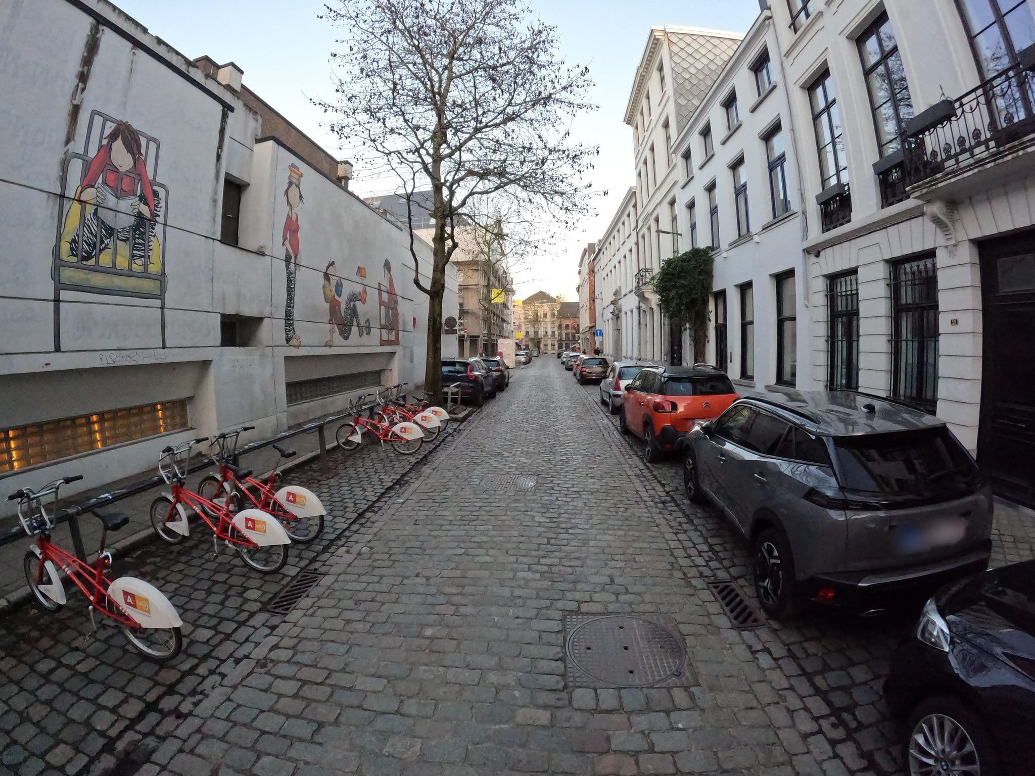Street view near Aandekeizer Bed & Breakfast, Antwerp — © koninklijke (CC BY-SA · Mapillary)