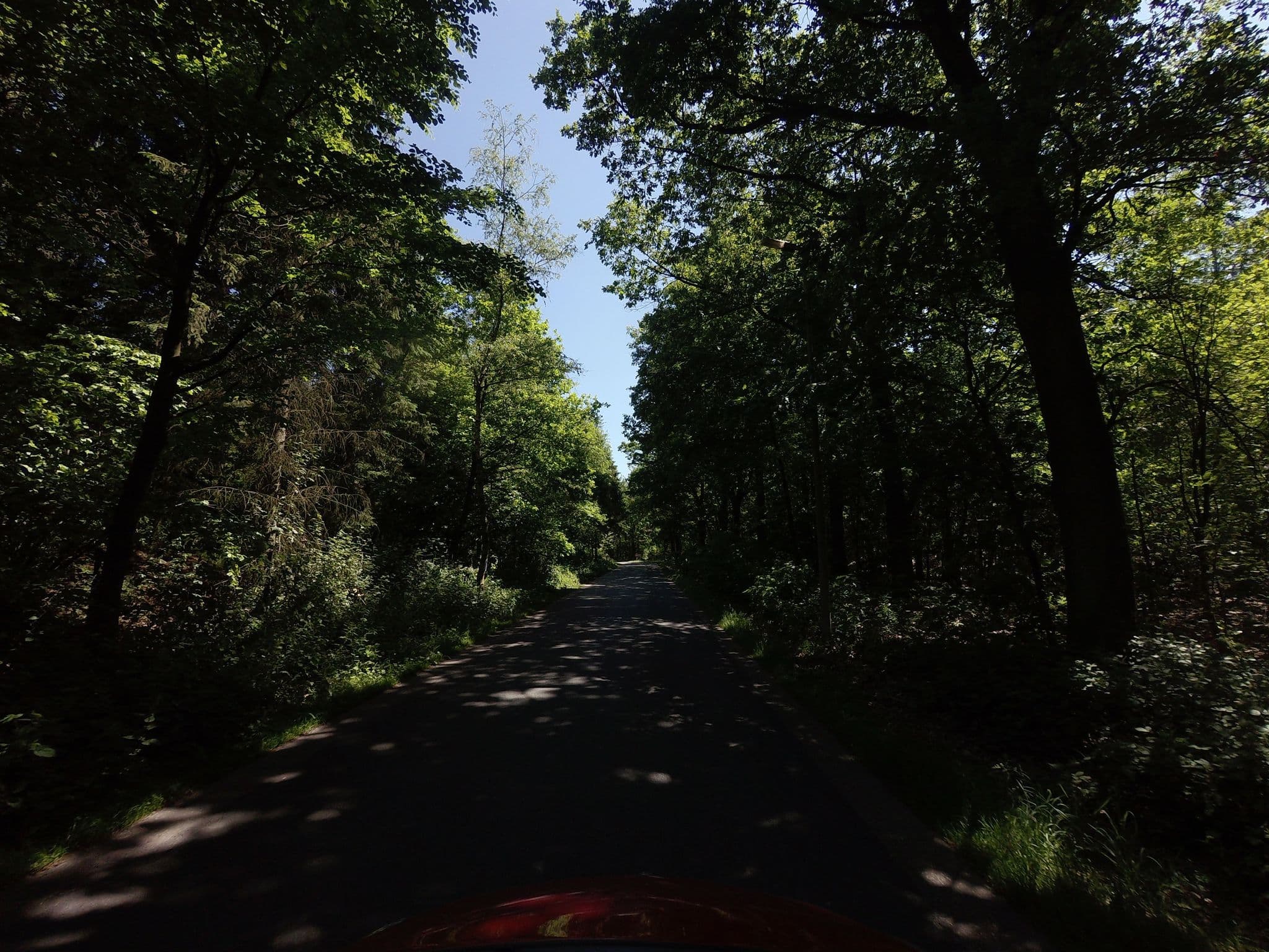Street view near Cottage 146, Lommel — © filipc (CC BY-SA · Mapillary)