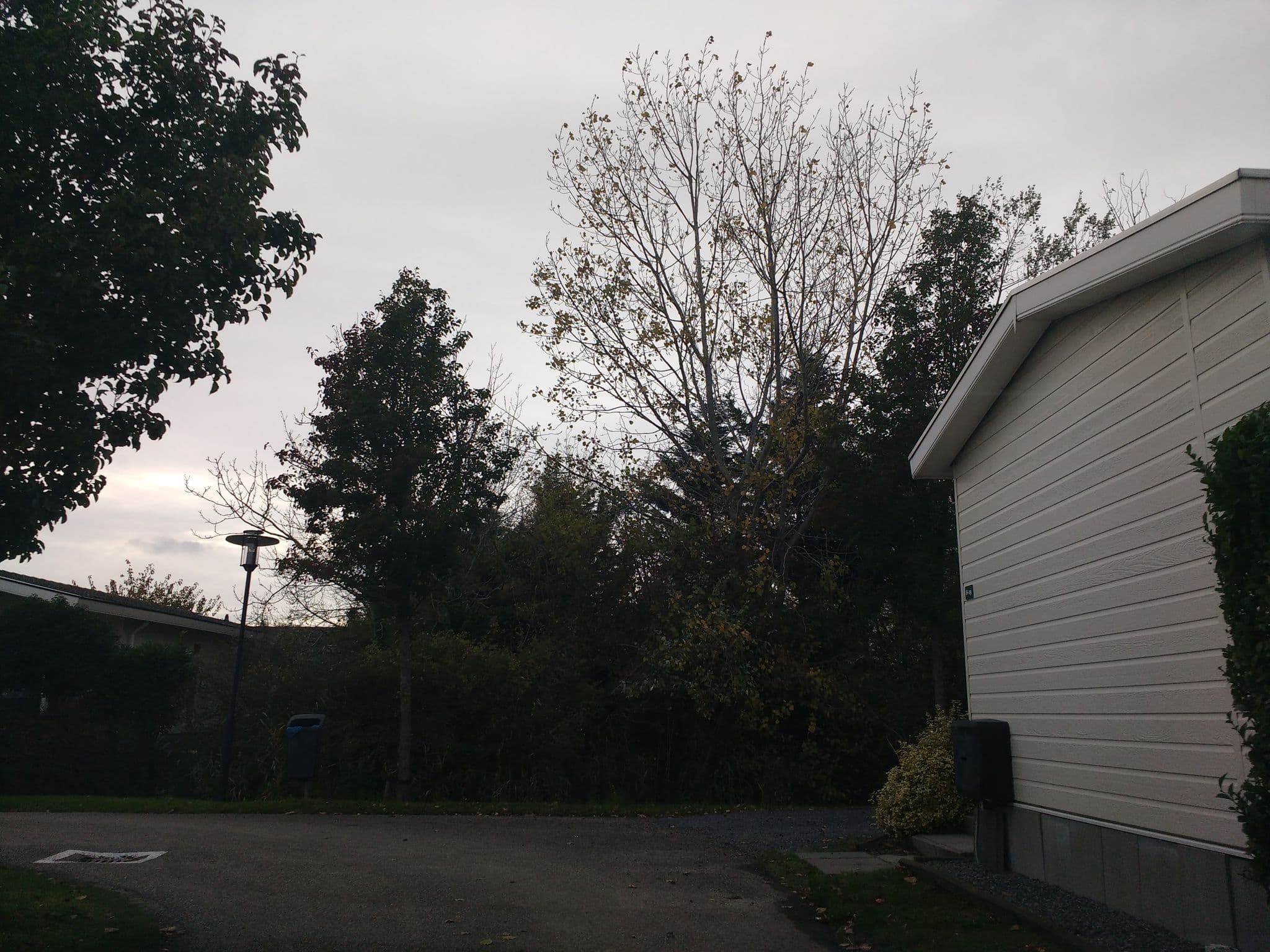 Street view near Port Scaldis, Breskens — © thetornado76 (CC BY-SA · Mapillary)