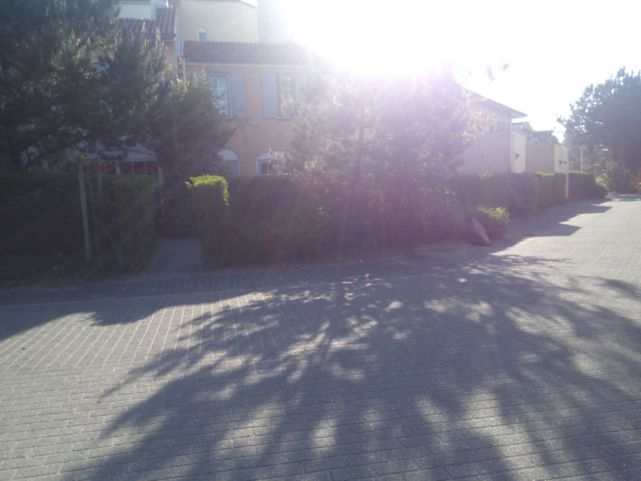 Street view near cottage 340, Scharendijke — © titus (CC BY-SA · Mapillary)