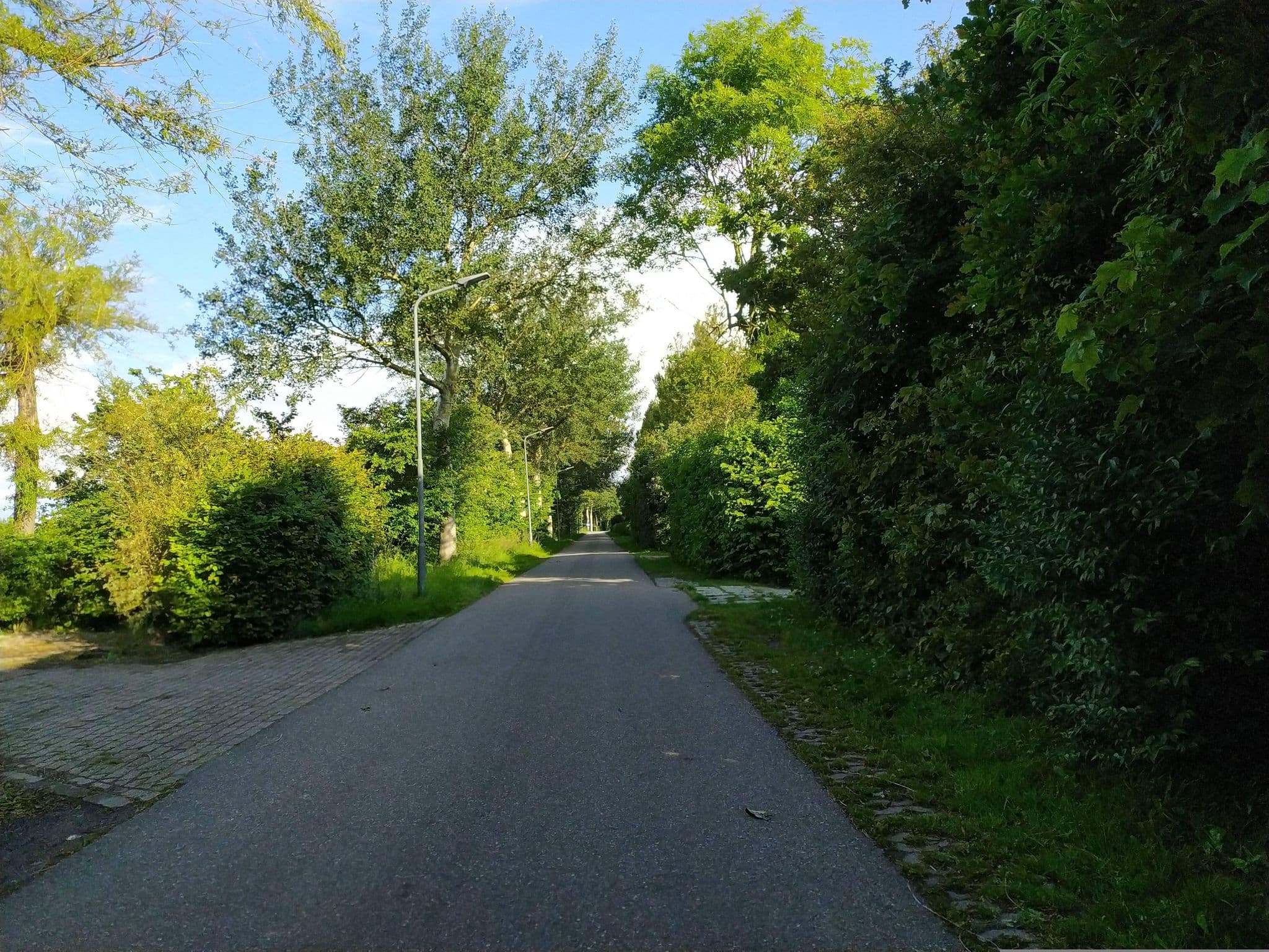 Street view near Domburg Holiday Resort Stables, Domburg — © steinm (CC BY-SA · Mapillary)