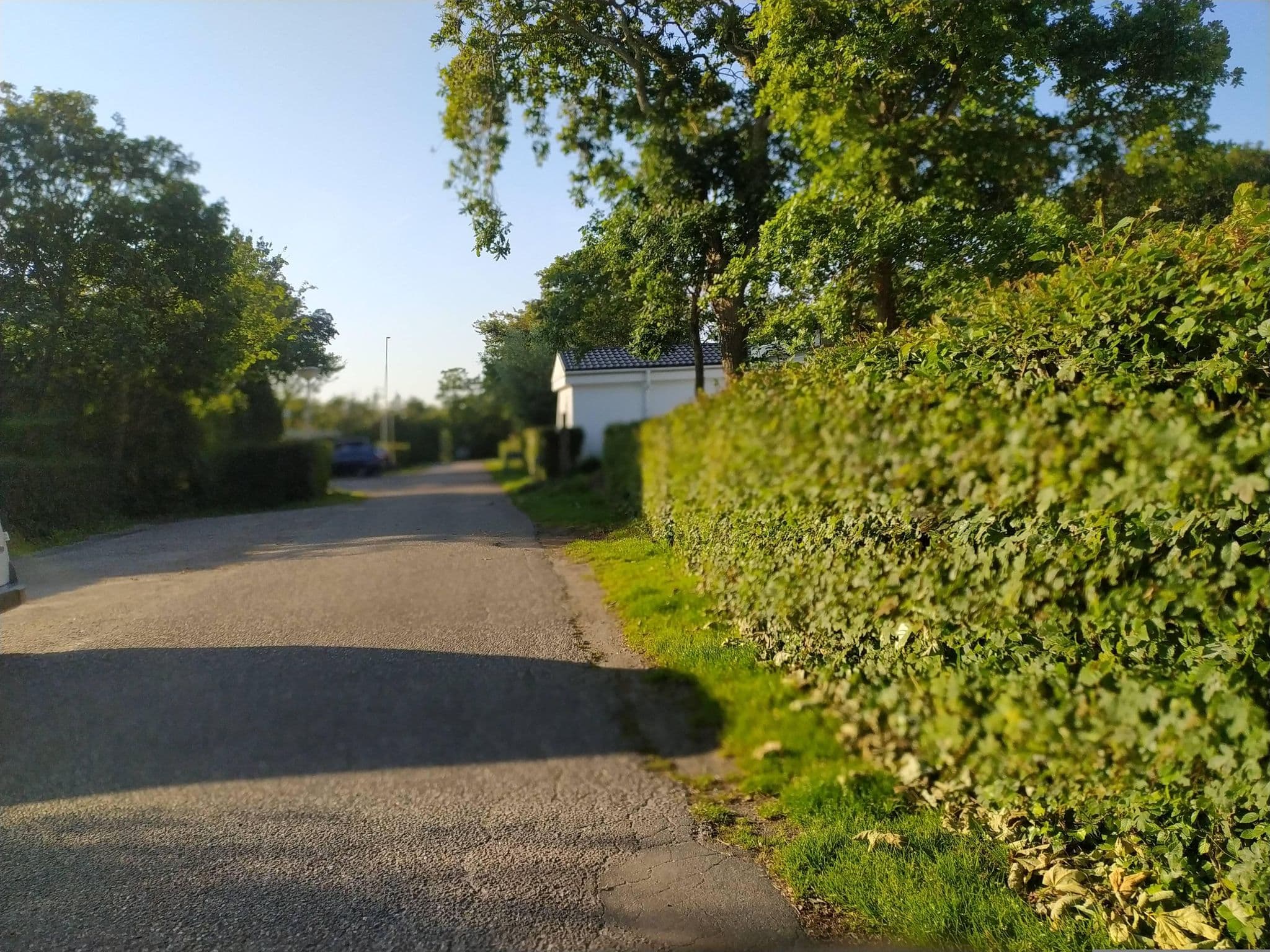 Street view near Hof Domburg, Bungalow 310, Domburg — © steinm (CC BY-SA · Mapillary)