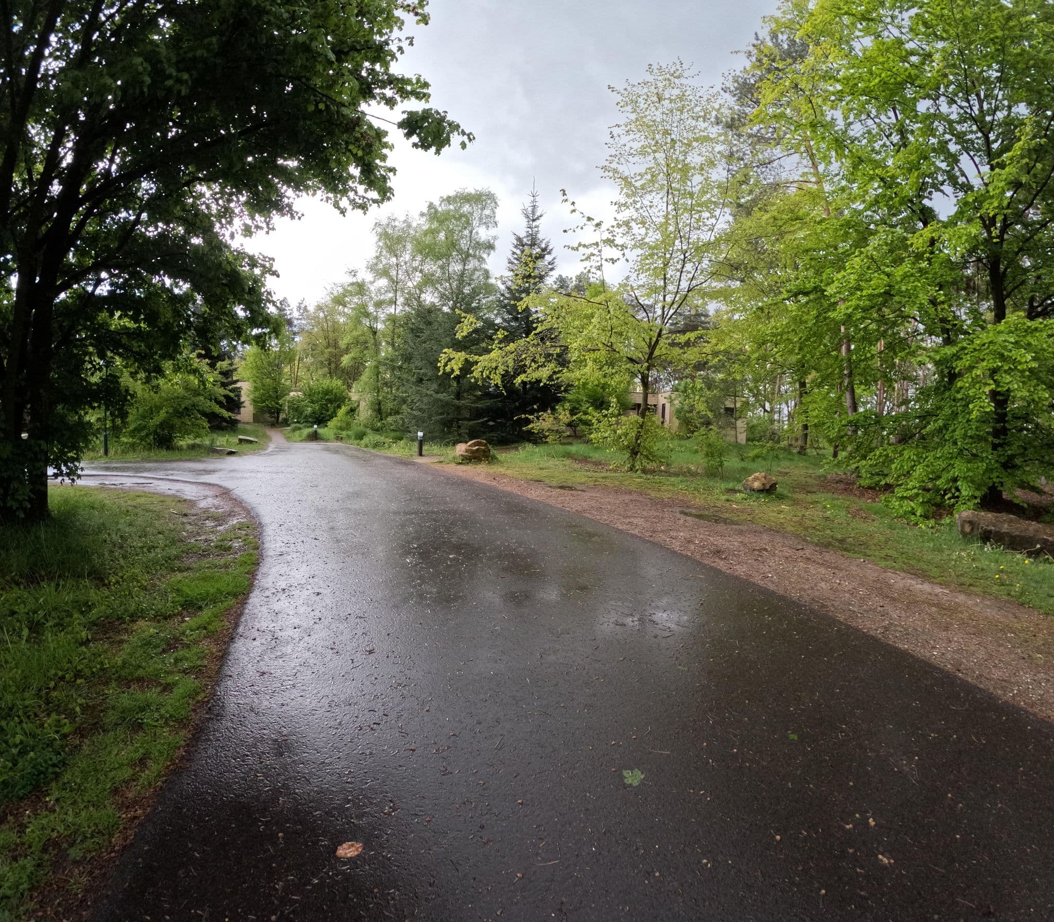 Street view near Cottage 828, Westerhoven — © tjorim (CC BY-SA · Mapillary)