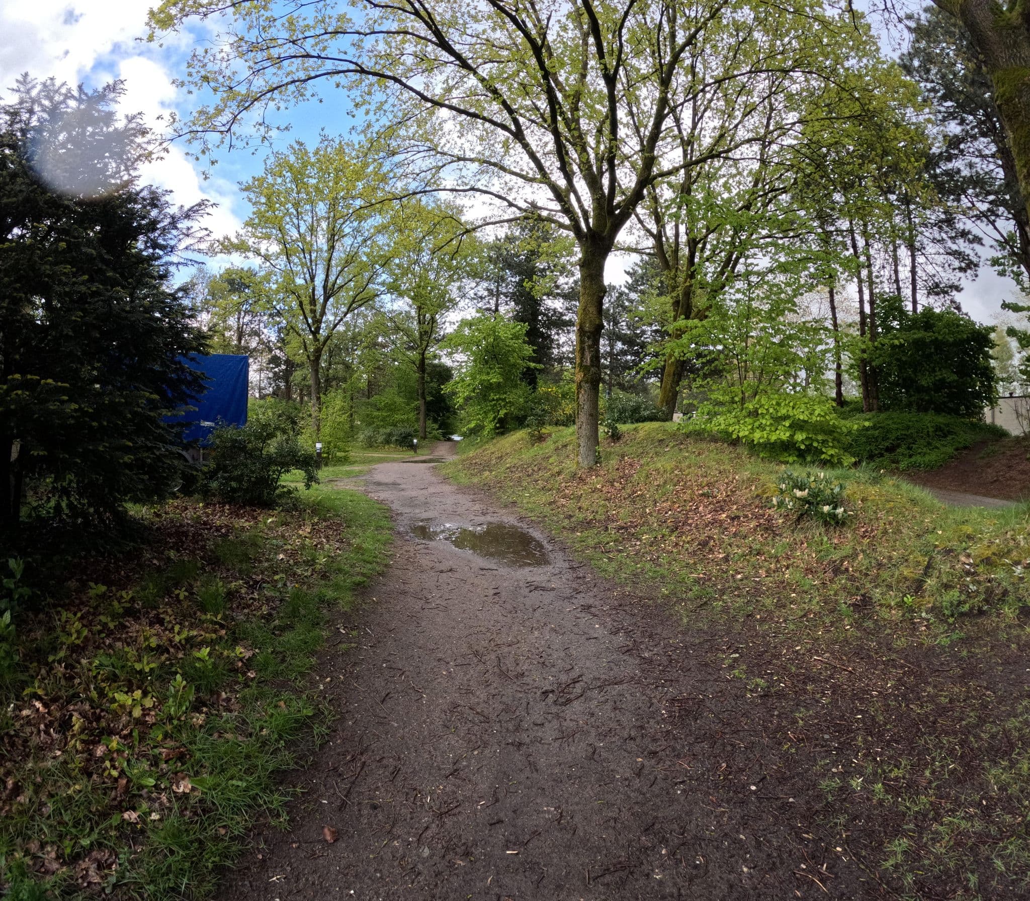Street view near cottage 892, Westerhoven — © tjorim (CC BY-SA · Mapillary)