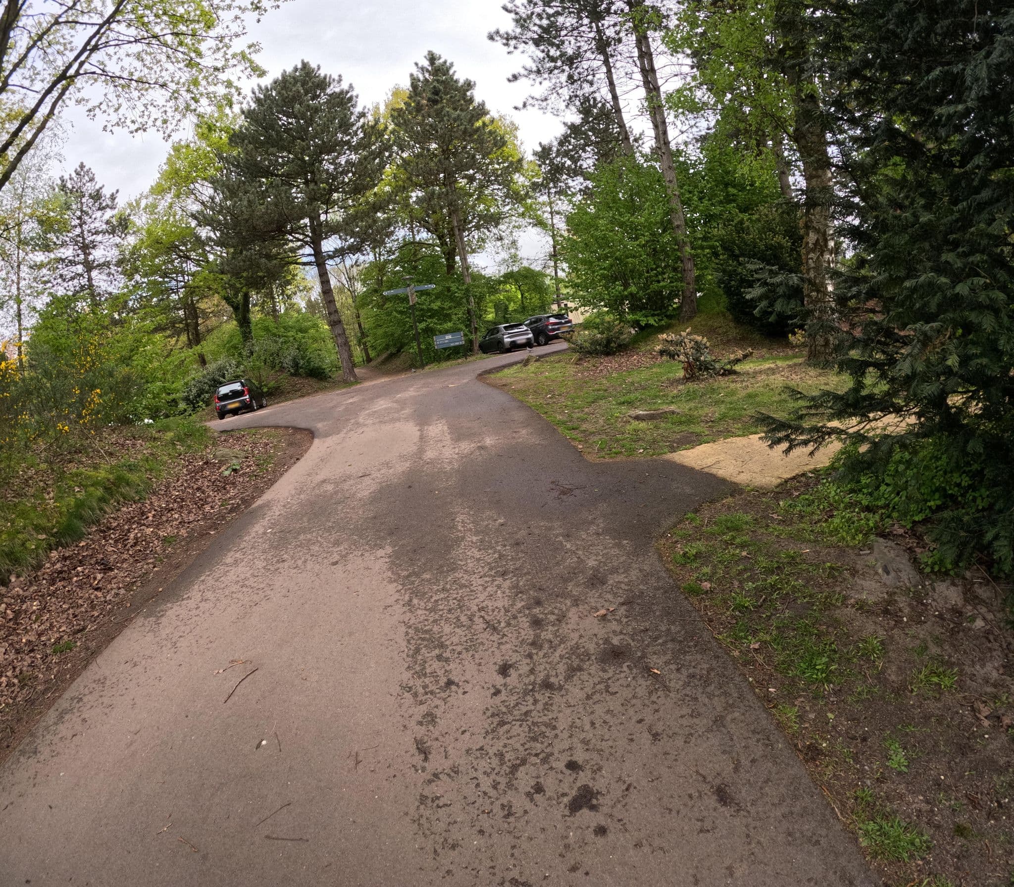 Street view near Cottage 987, Westerhoven — © tjorim (CC BY-SA · Mapillary)
