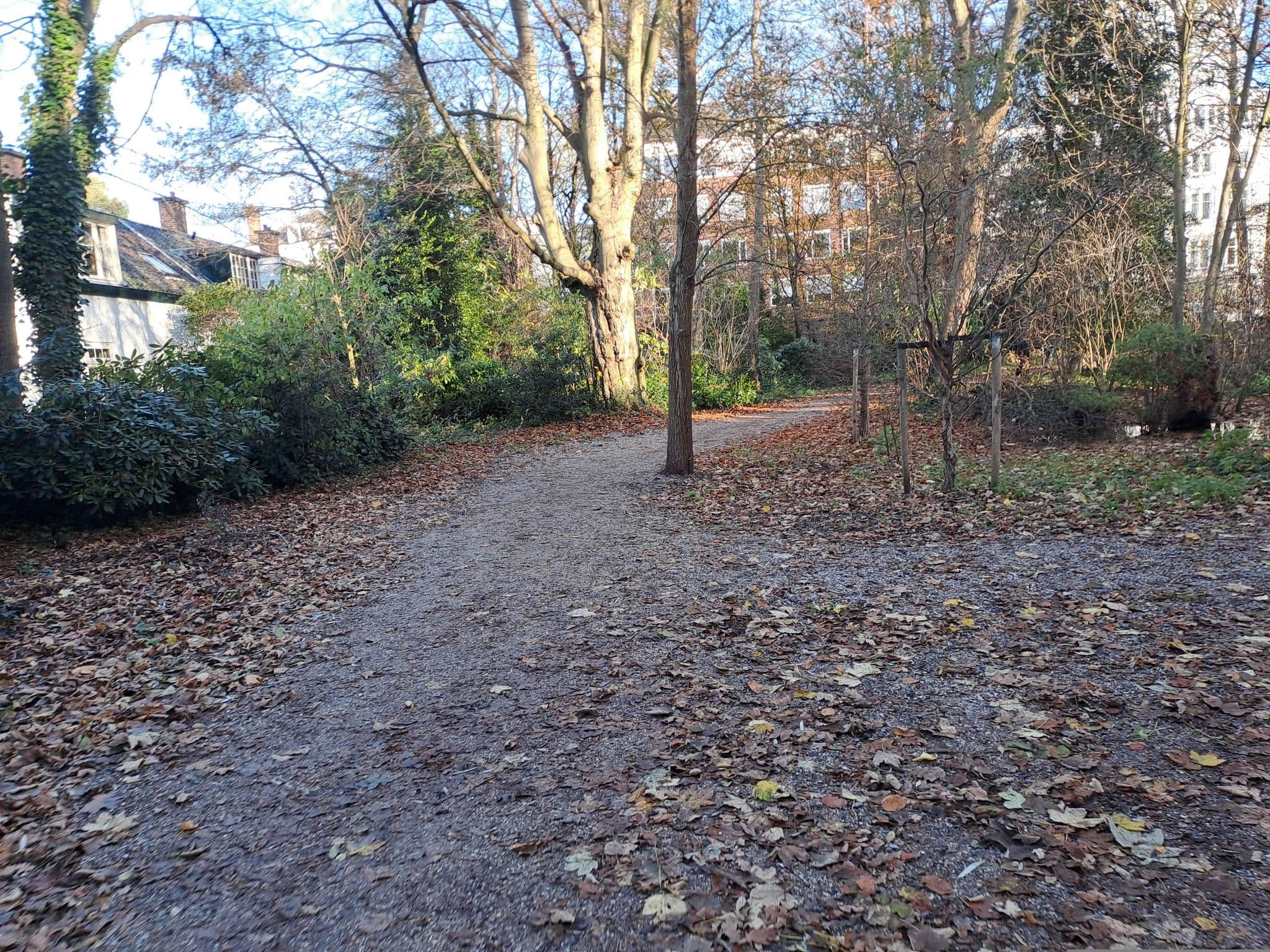 Street view near The Captains Cottage, The Hague — © multi_wandel (CC BY-SA · Mapillary)