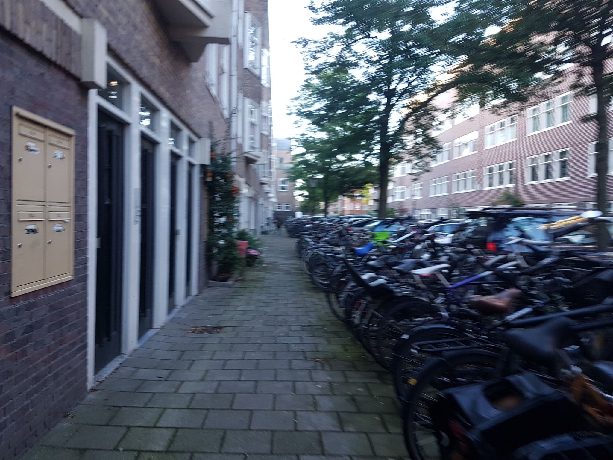 Street view near De Waterwieg, Amsterdam — © ainali (CC BY-SA · Mapillary)