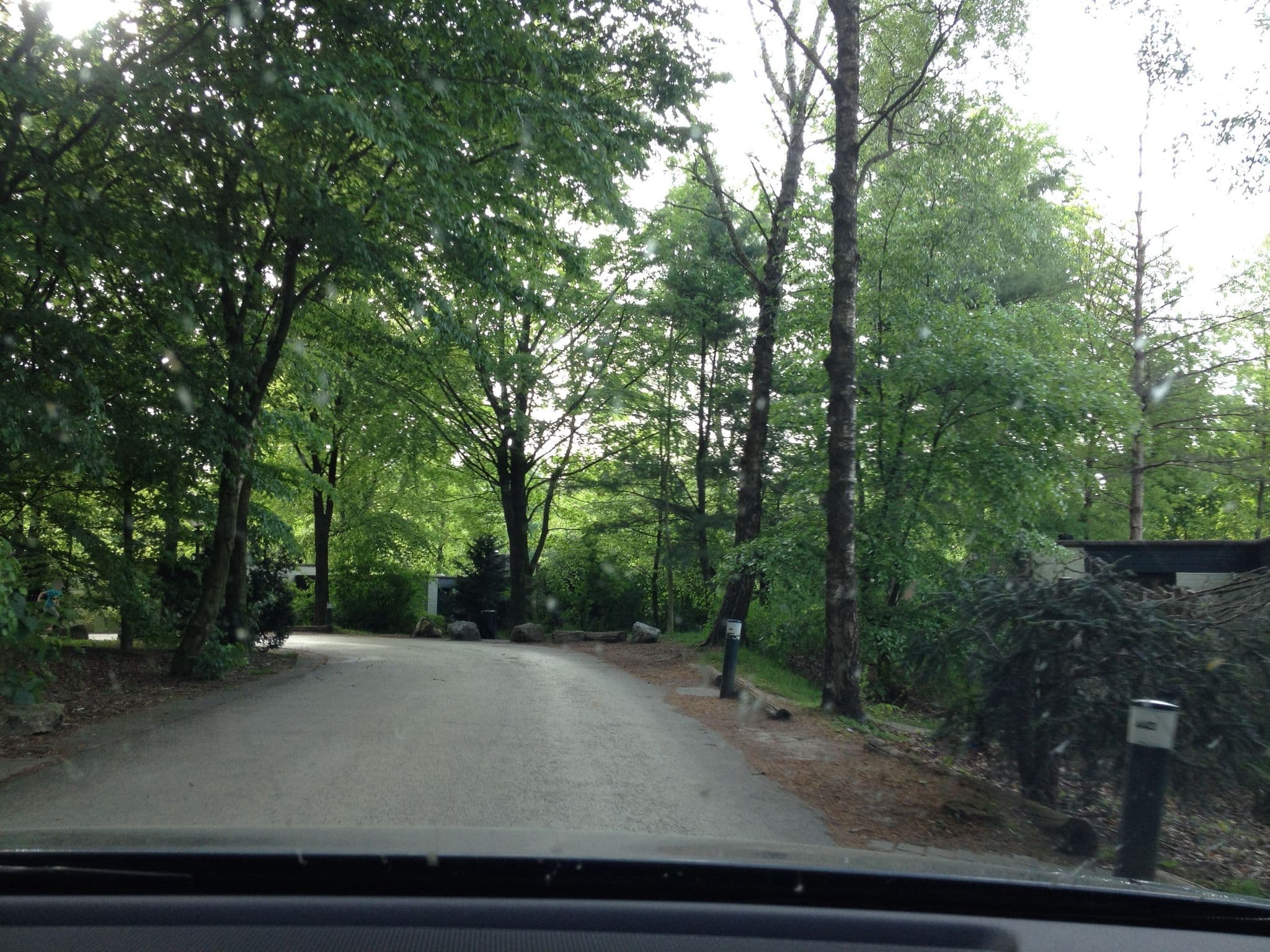 Street view near Cottage 441, Bunschoten — © teddy73 (CC BY-SA · Mapillary)