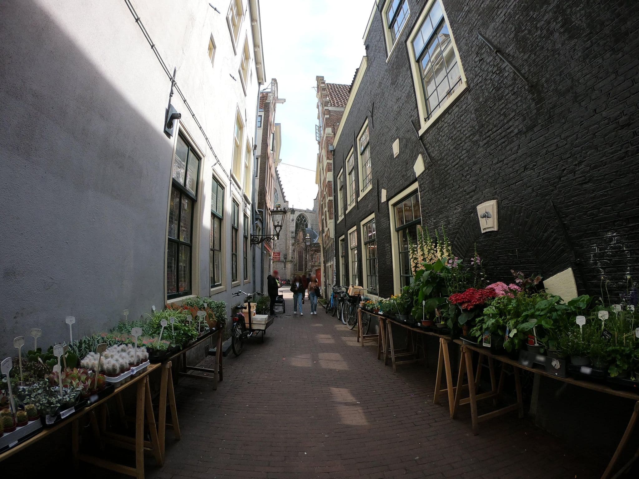 Street view near Croyden Hotel, Amsterdam — © richlv (CC BY-SA · Mapillary)