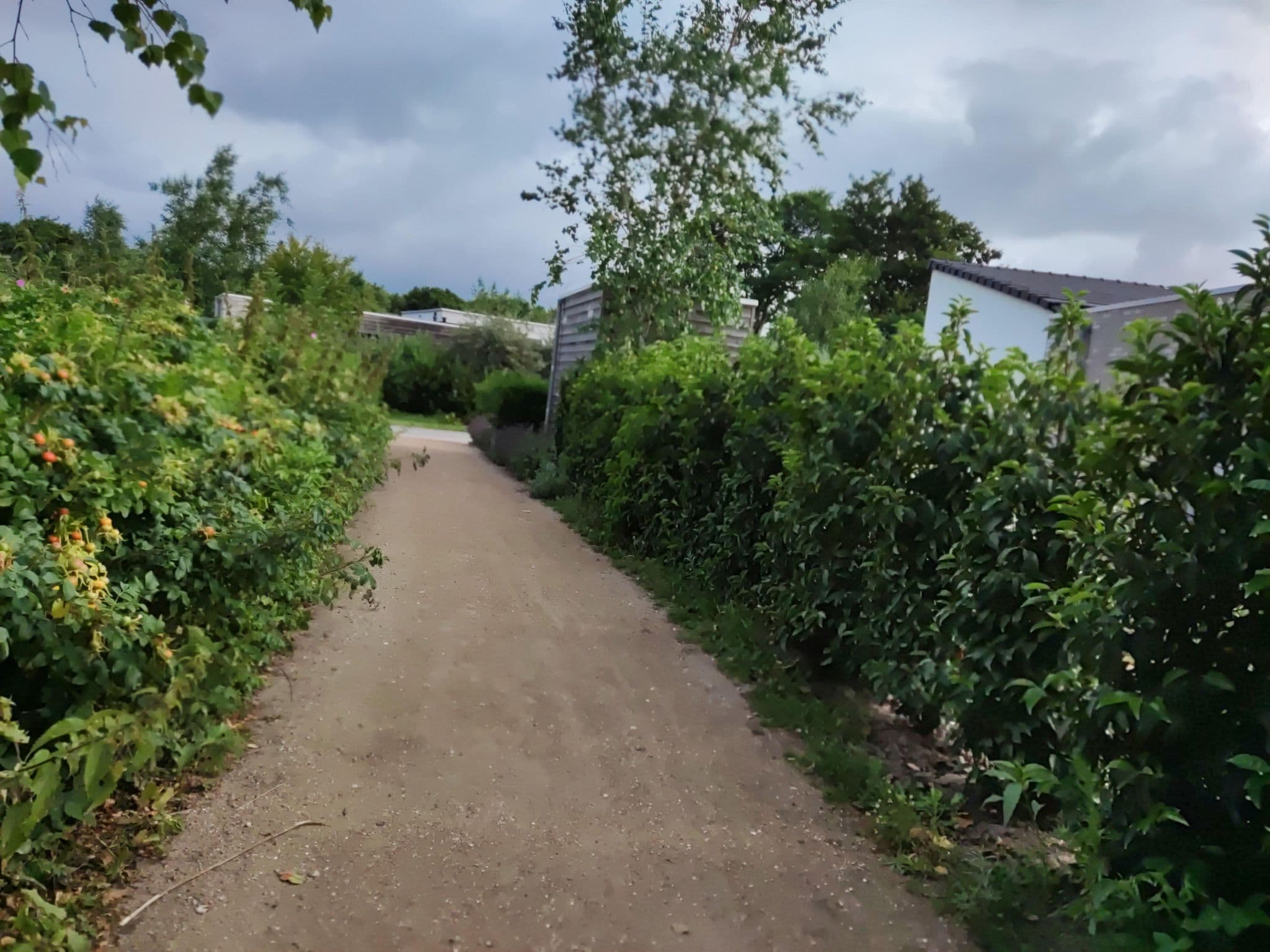 Street view near Bungalow 320, De Koog — © t_hartung (CC BY-SA · Mapillary)