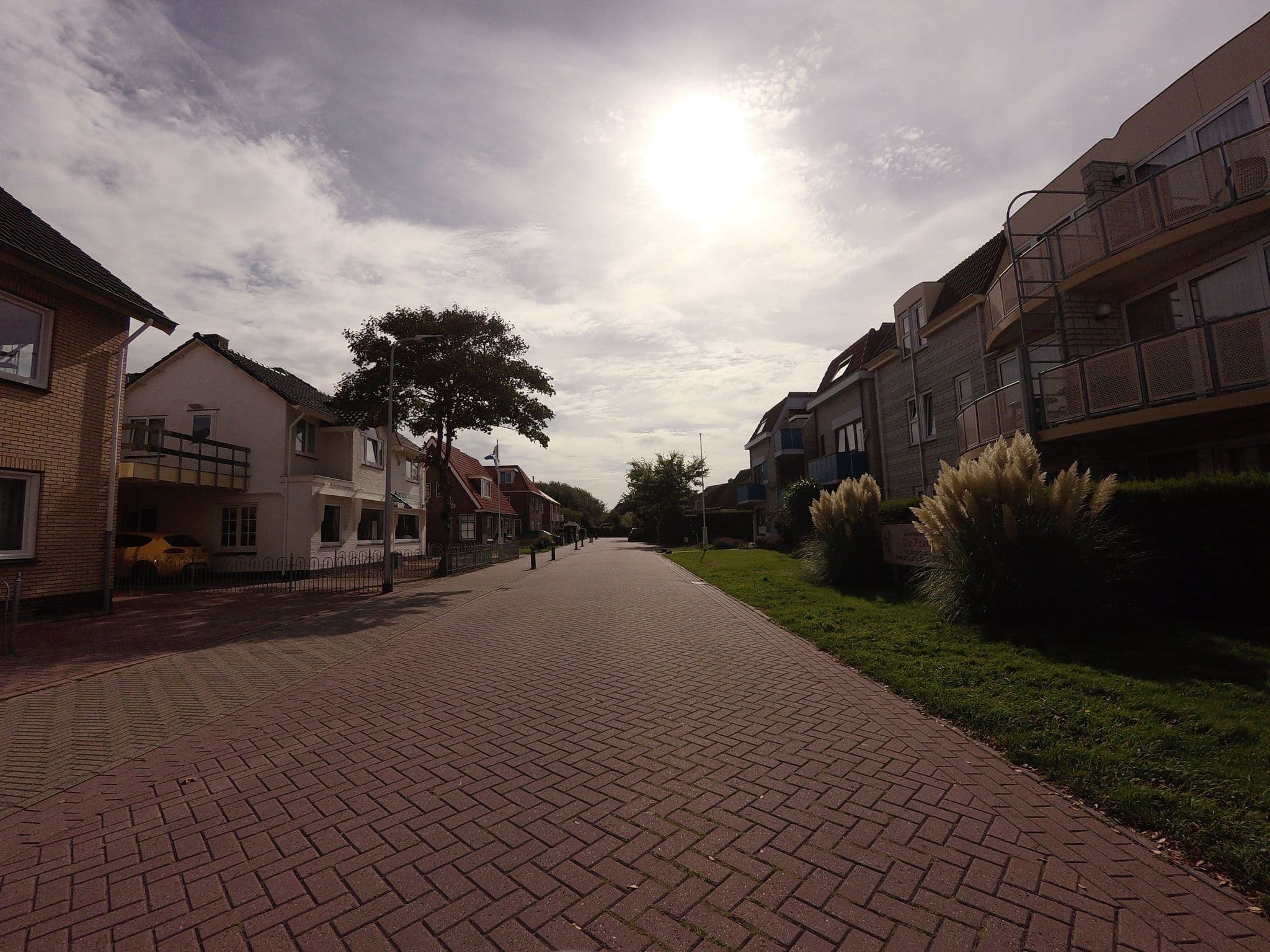 Street view near Zeedistel, De Koog — © ankeric (CC BY-SA · Mapillary)