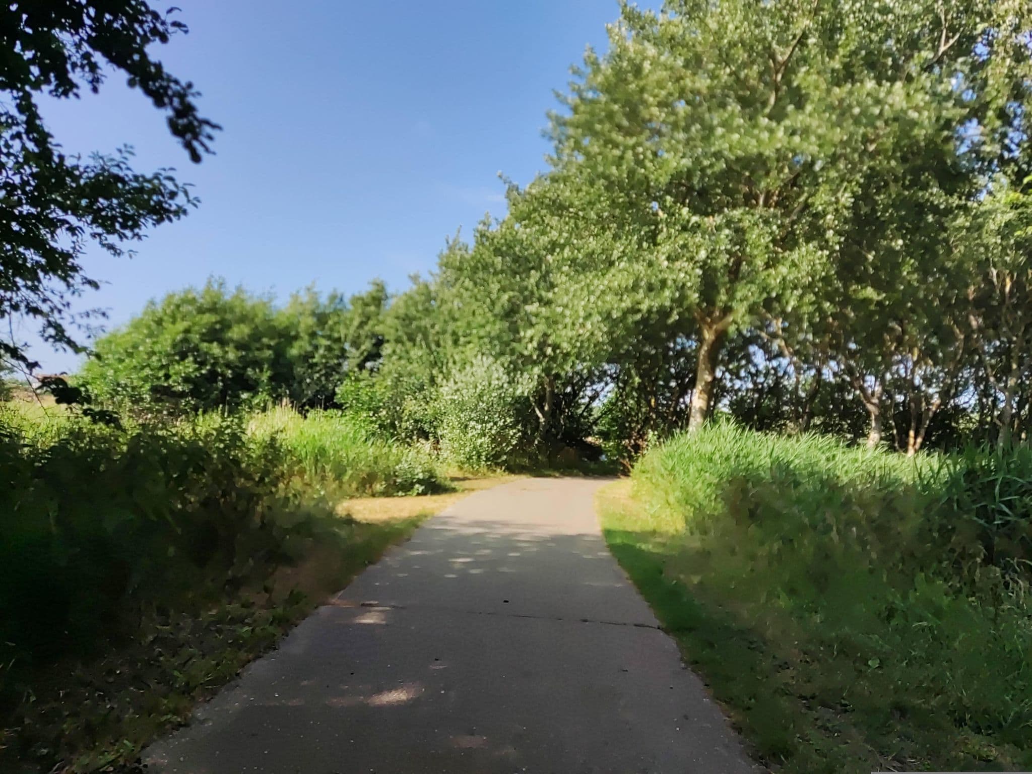 Street view near Bungalowpark De Krim Huis 303, De Koog — © t_hartung (CC BY-SA · Mapillary)