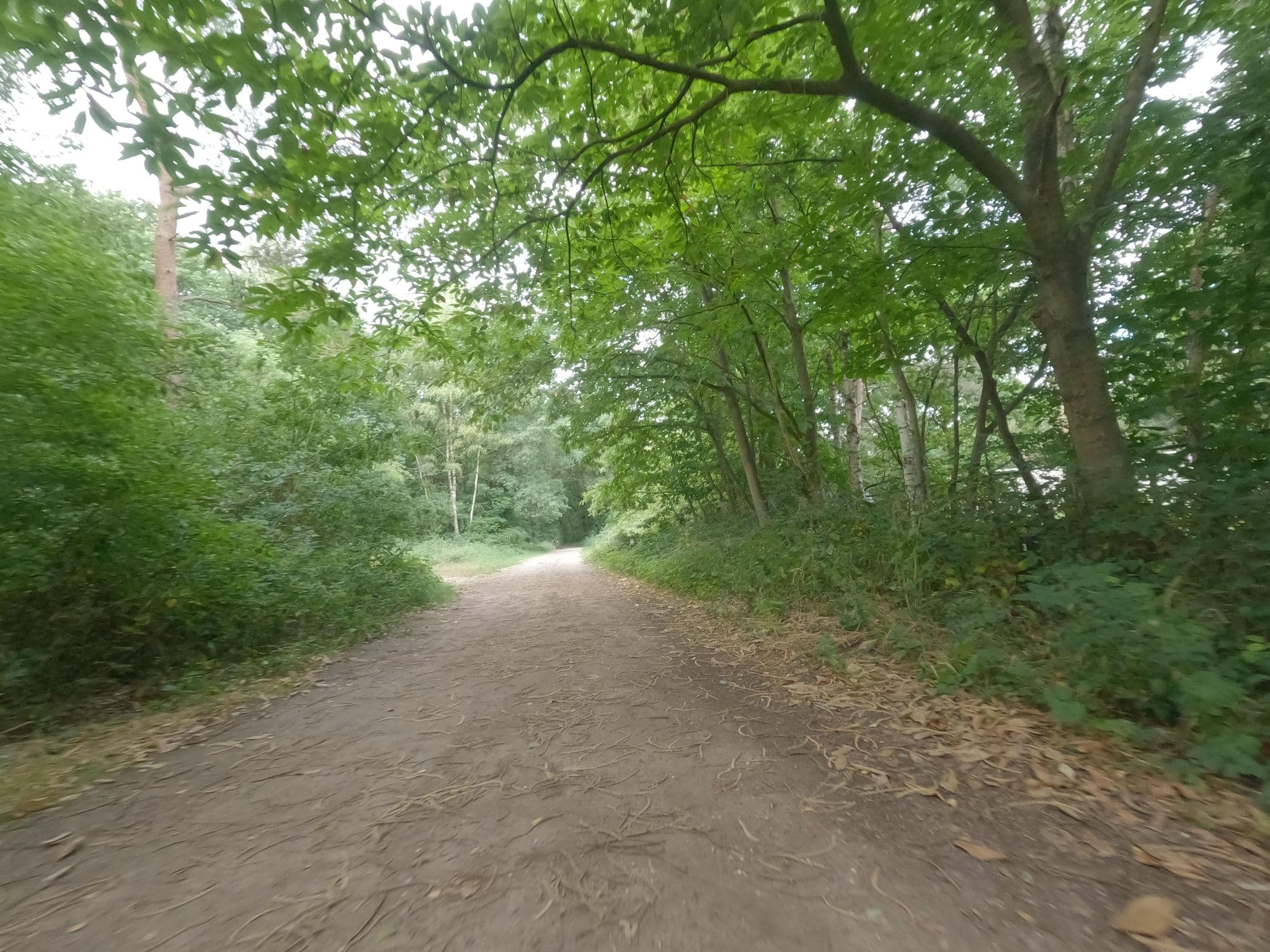 Street view near Cottage 212, Kessel — © hektor1989 (CC BY-SA · Mapillary)