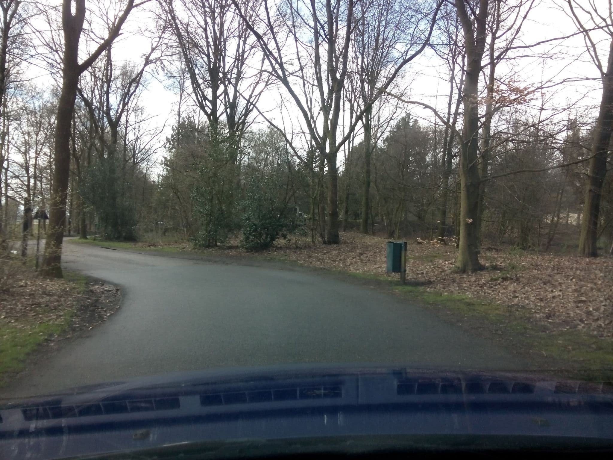 Street view near Cottage 230, De Loo — © geogast (CC BY-SA · Mapillary)