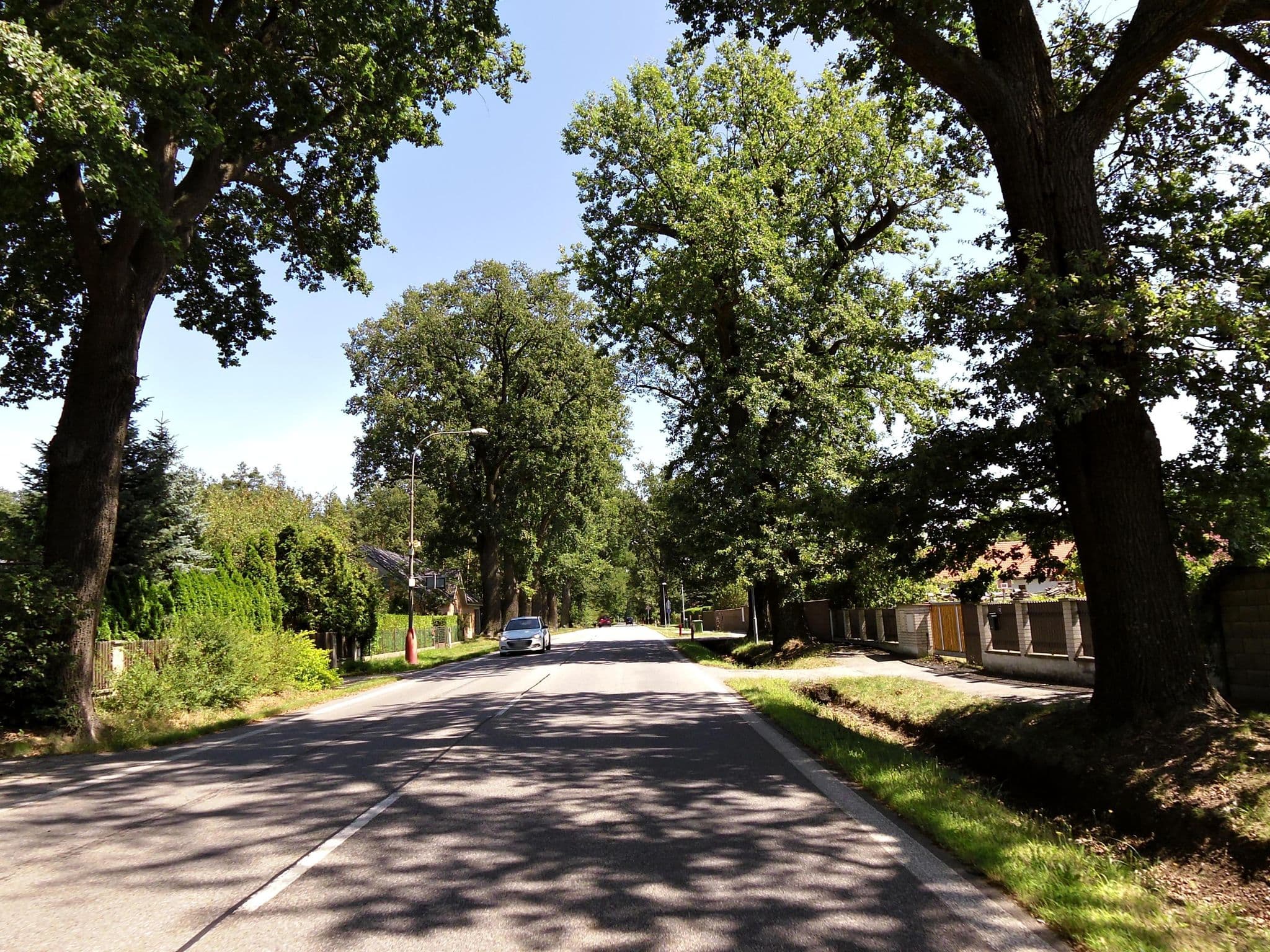 Street view near Penzionek Třeboň, Třeboň — © fell3 (CC BY-SA · Mapillary)