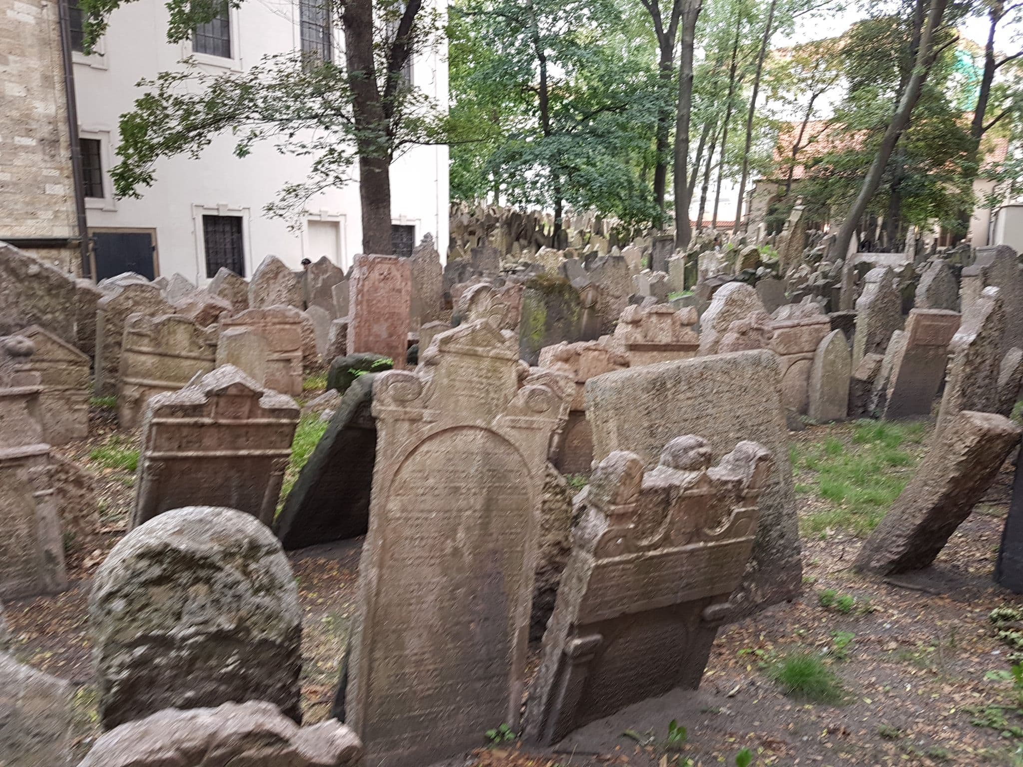 Street view near Jewish Pearl Apartment, Prague — © it_s_so_funny (CC BY-SA · Mapillary)