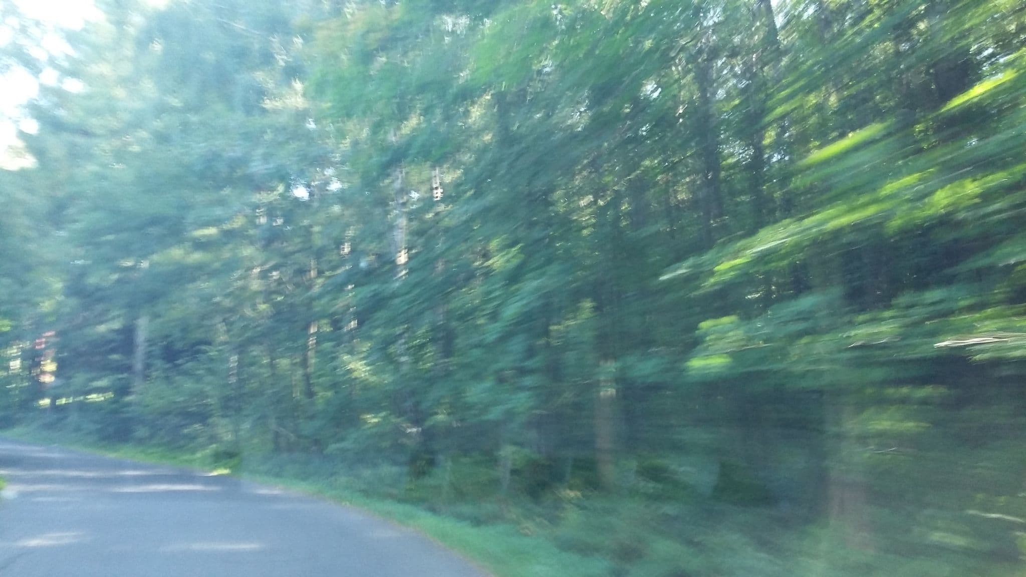 Street view near Vila Oaza, Janov nad Nisou — © gob (CC BY-SA · Mapillary)