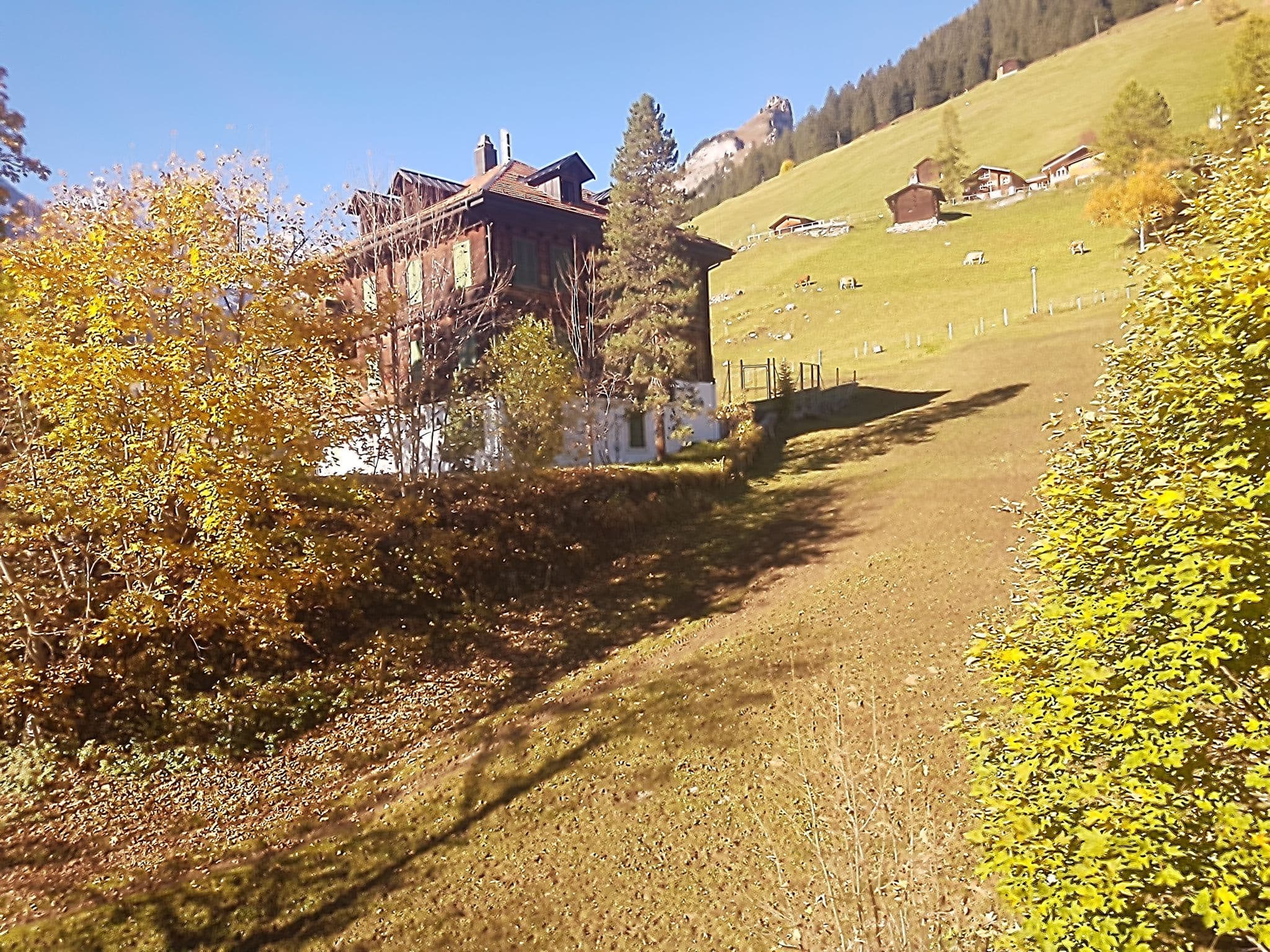Street view near Chalet Alpenruh, Lauterbrunnen — © qungo (CC BY-SA · Mapillary)