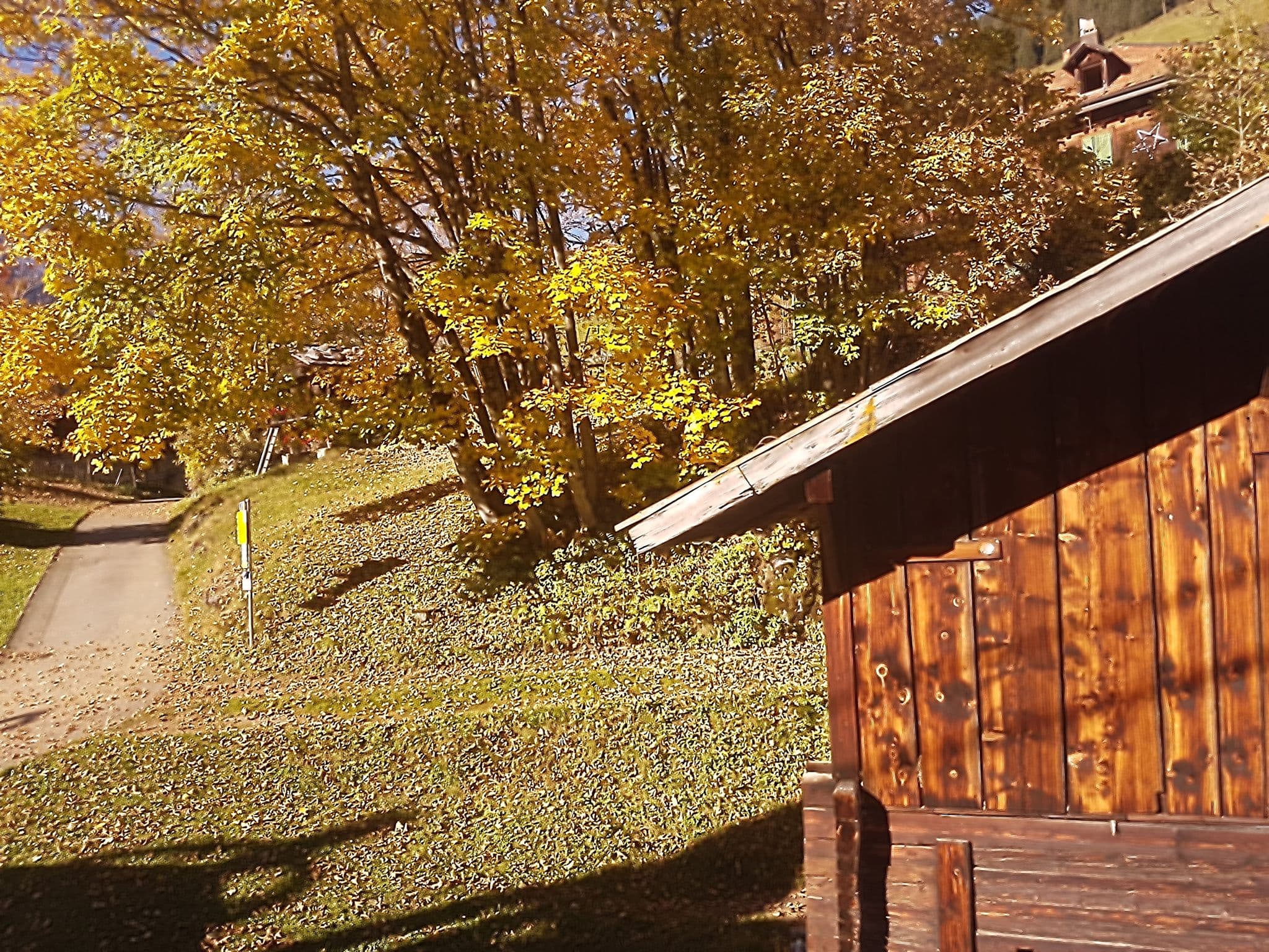Street view near Thomi Eva, Lauterbrunnen — © qungo (CC BY-SA · Mapillary)