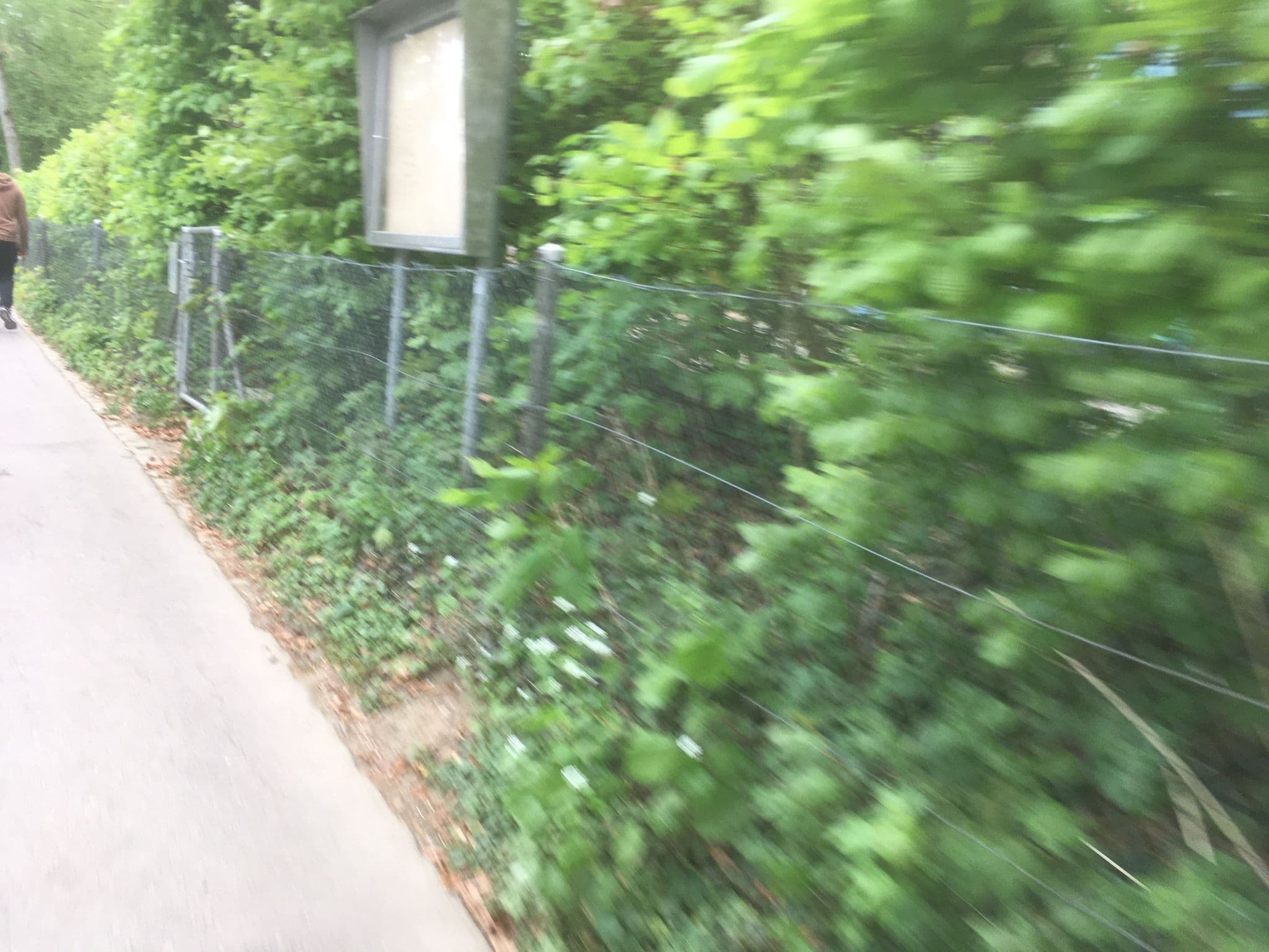 Street view near Wasserfahrverein Freiheit Bootshaus, Bern — © habi (CC BY-SA · Mapillary)