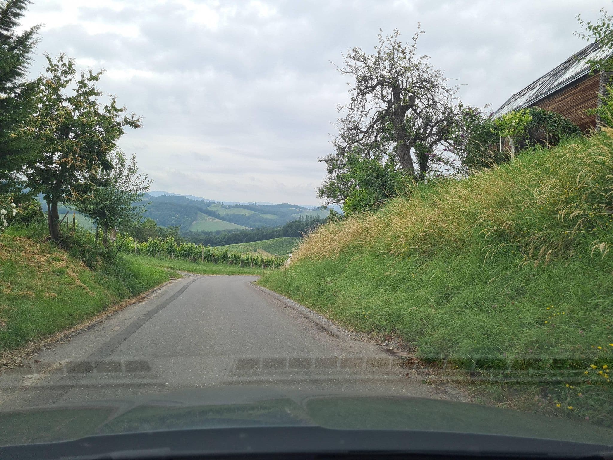 Street view near Weingut - Gästezimmer Söll, Gamlitz — © schermy_at (CC BY-SA · Mapillary)
