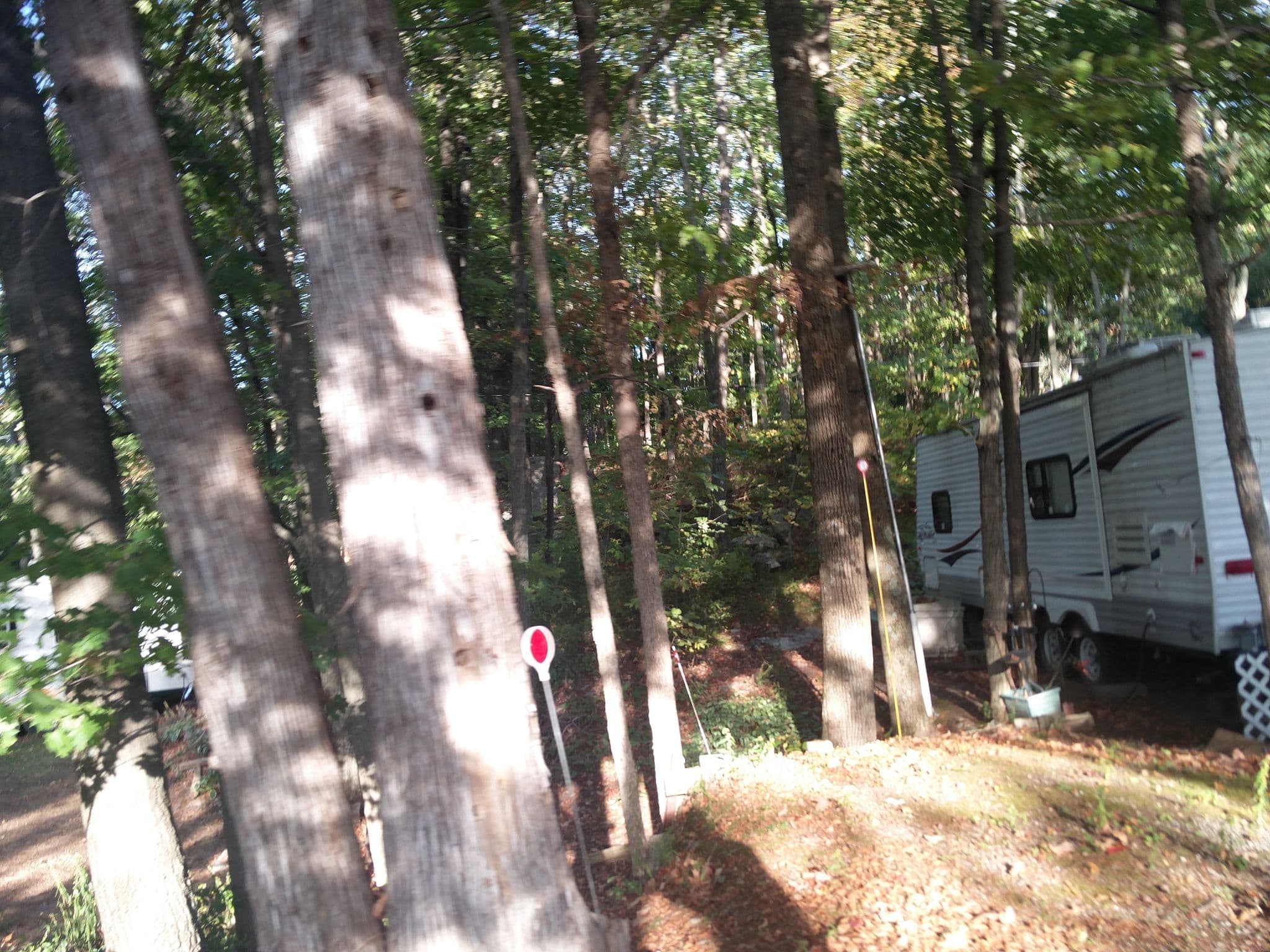 Street view near White House Campground, Sharbot Lake — © undearius (CC BY-SA · Mapillary)