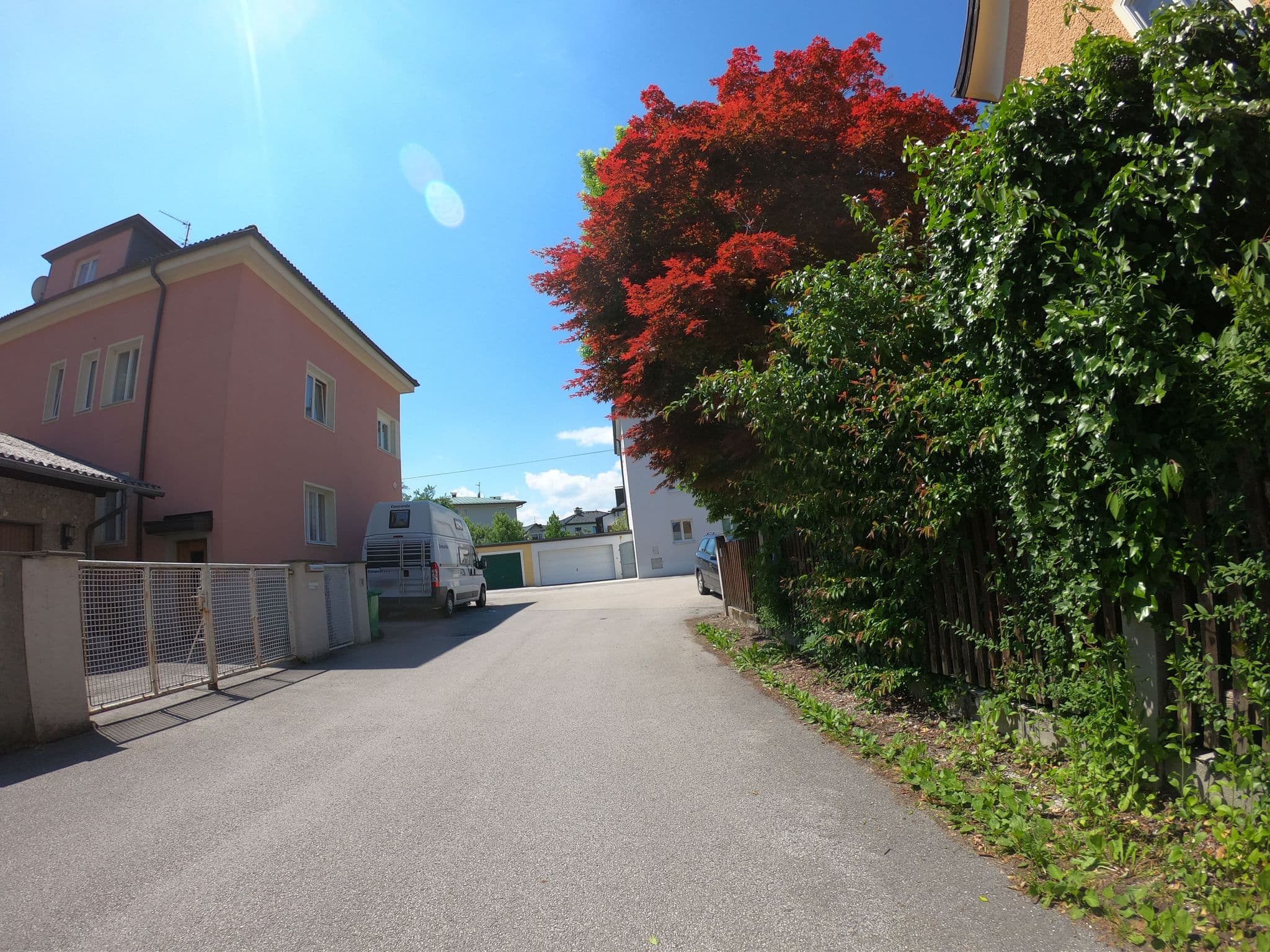 Street view near Schellhorn's u. Dilly's Pussypalace, Salzburg — © flansch (CC BY-SA · Mapillary)