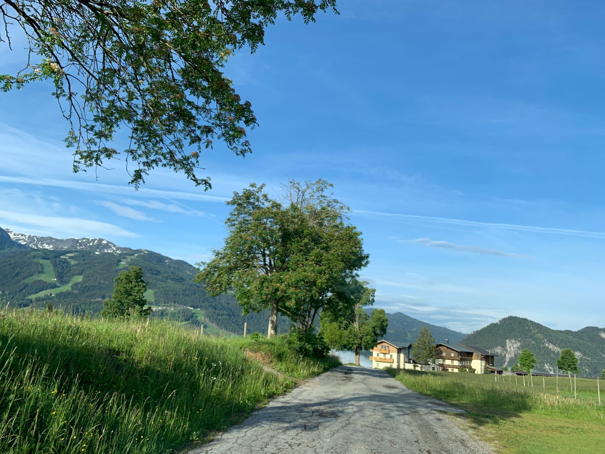 Street view near Pension Brandstätterhof, Ramsau am Dachstein — © schladming1 (CC BY-SA · Mapillary)
