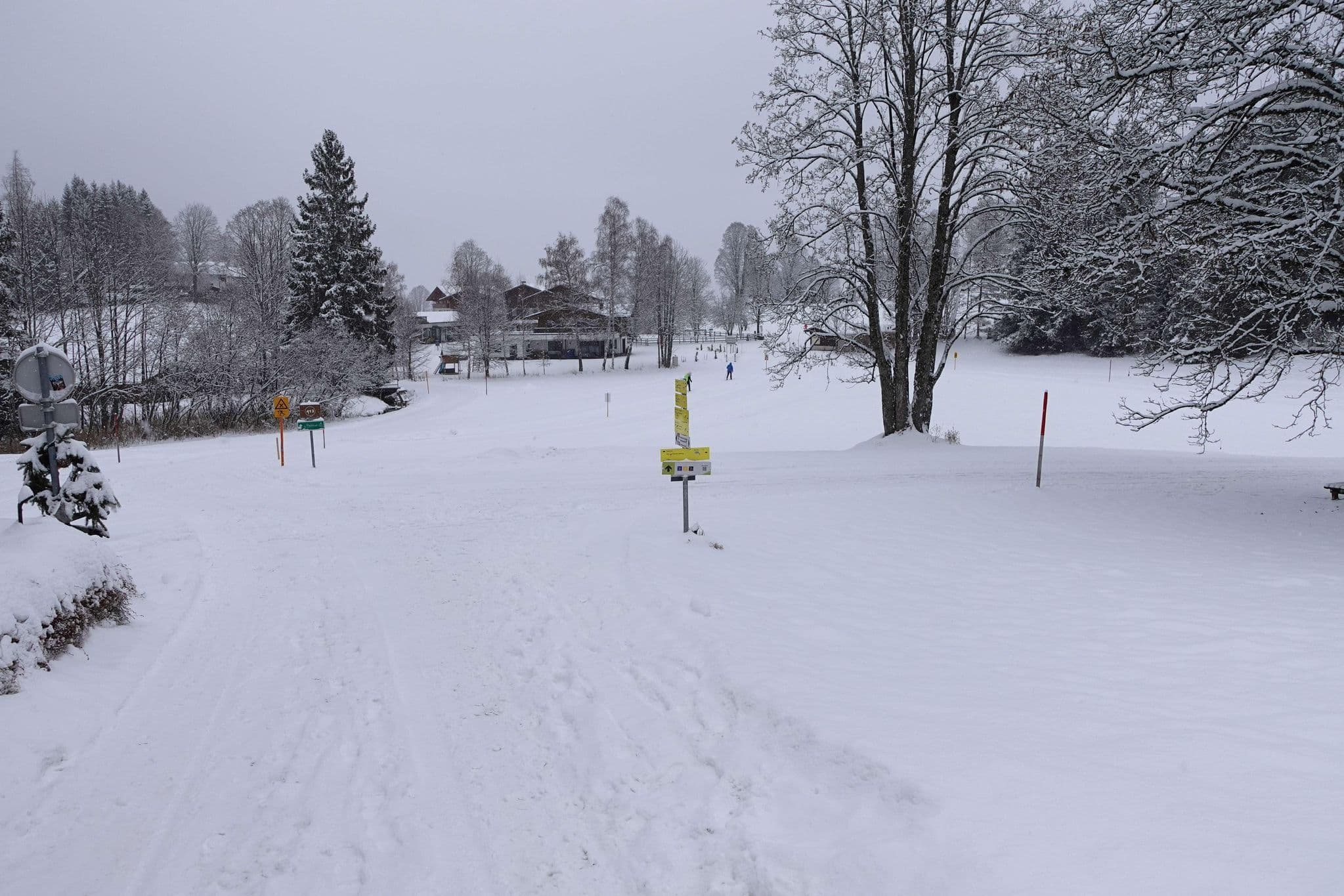 Street view near Haus Heidi, Ramsau am Dachstein — © rogrue (CC BY-SA · Mapillary)