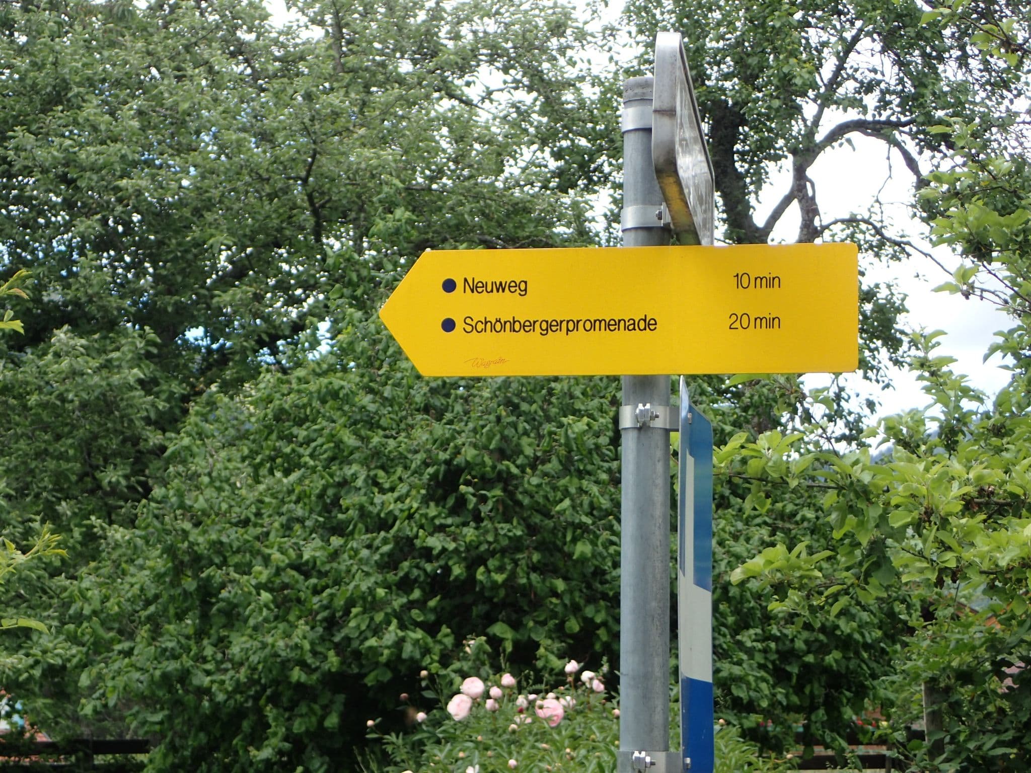 Street view near Haus Holzer, Hof — © schermy_at (CC BY-SA · Mapillary)