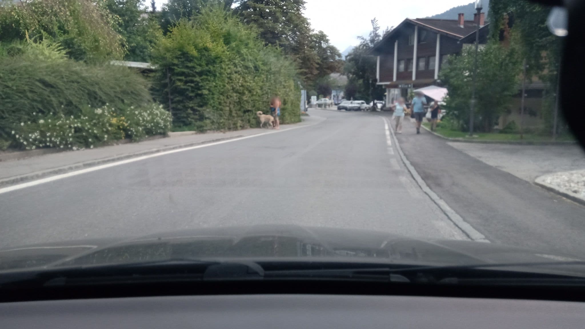 Street view near Glautschhof, Steinfeld — © christianertler (CC BY-SA · Mapillary)