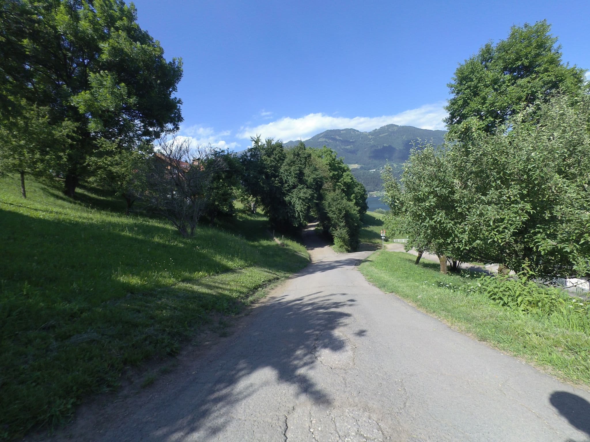 Street view near Laggerhof, Döbriach — © schermy_at (CC BY-SA · Mapillary)