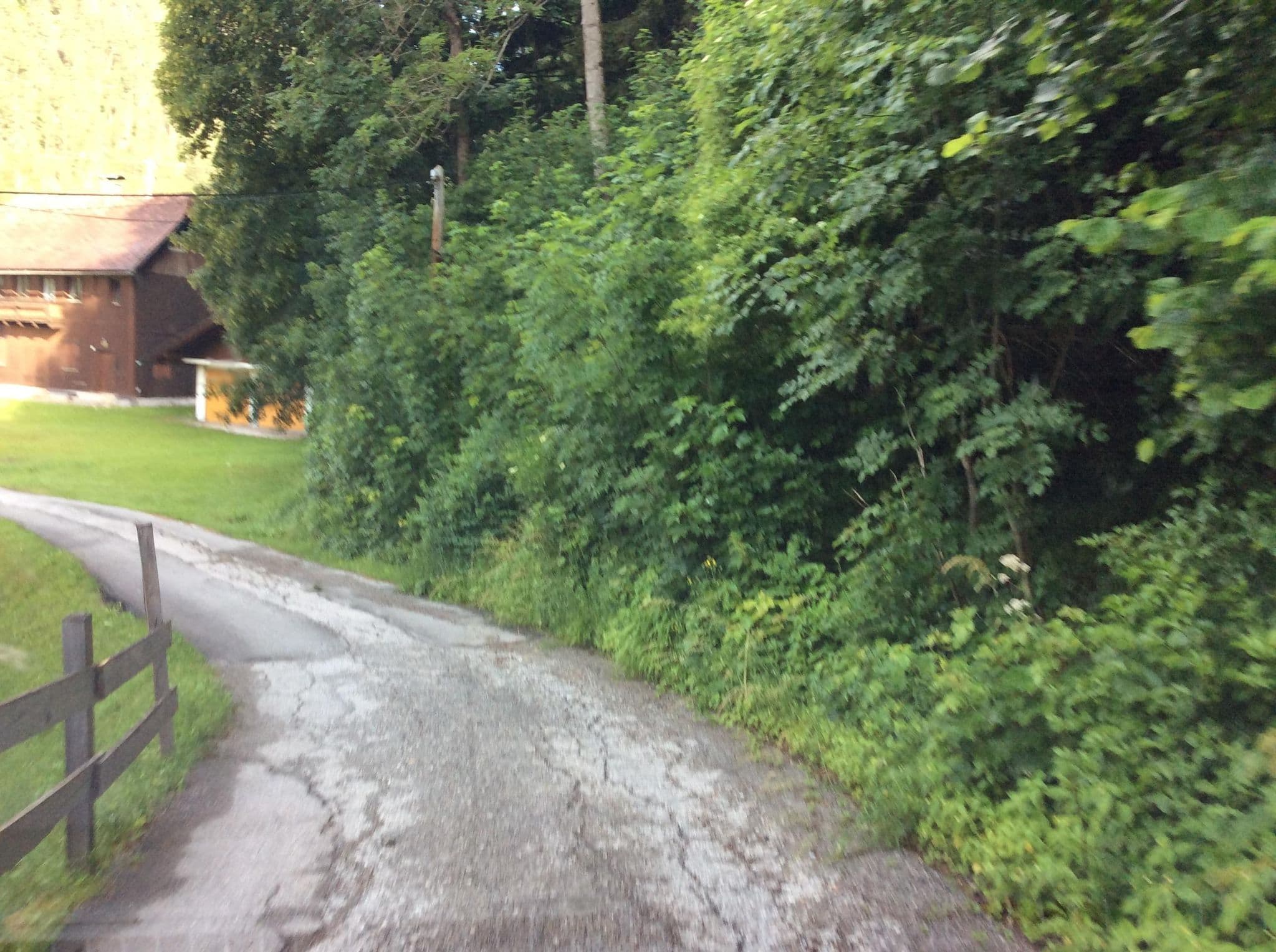 Street view near Haus Maier, Ramsau am Dachstein — © Schladming2025 (CC BY-SA · Mapillary)