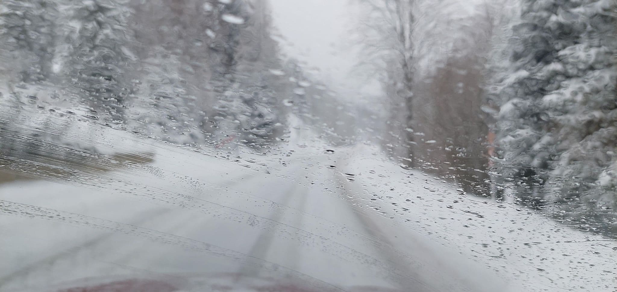 Street view near Gasthof Pension Steiner, Mariazell — © gzin (CC BY-SA · Mapillary)
