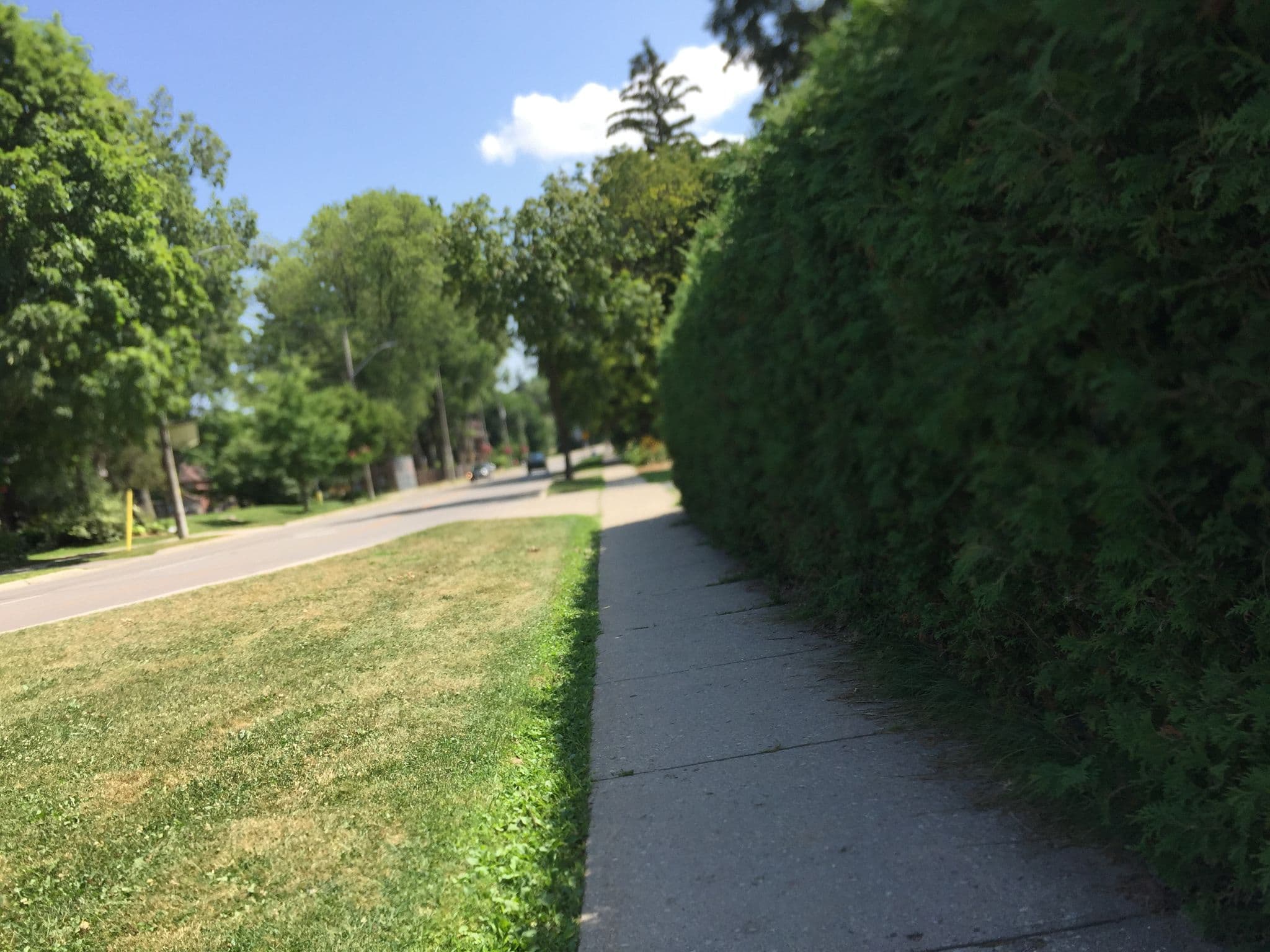 Street view near Arbour Garden Bed & Breakfast, Stratford — © joshuazelek (CC BY-SA · Mapillary)