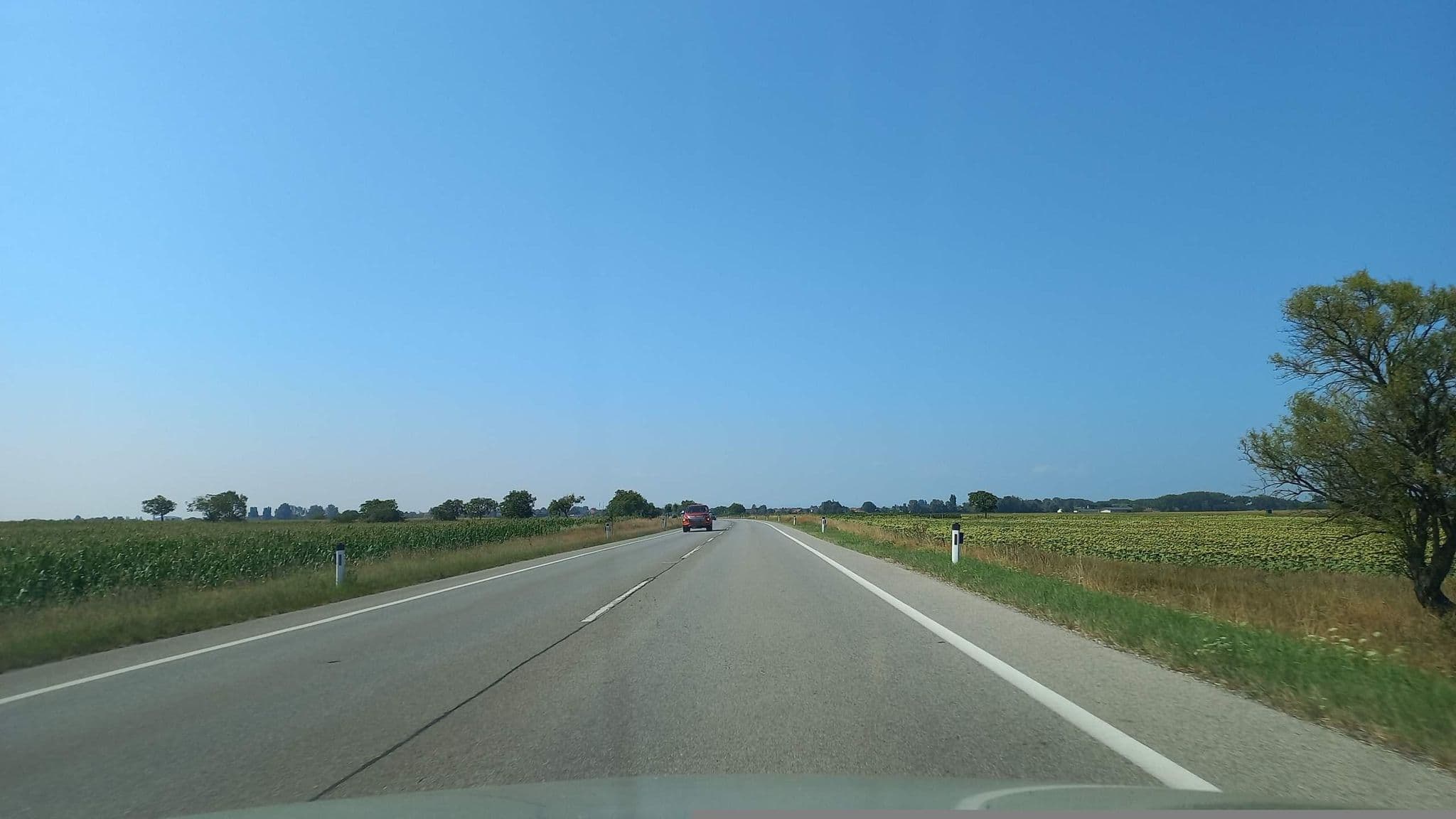 Street view near Rosenhof, Podersdorf am See — © bordaben (CC BY-SA · Mapillary)