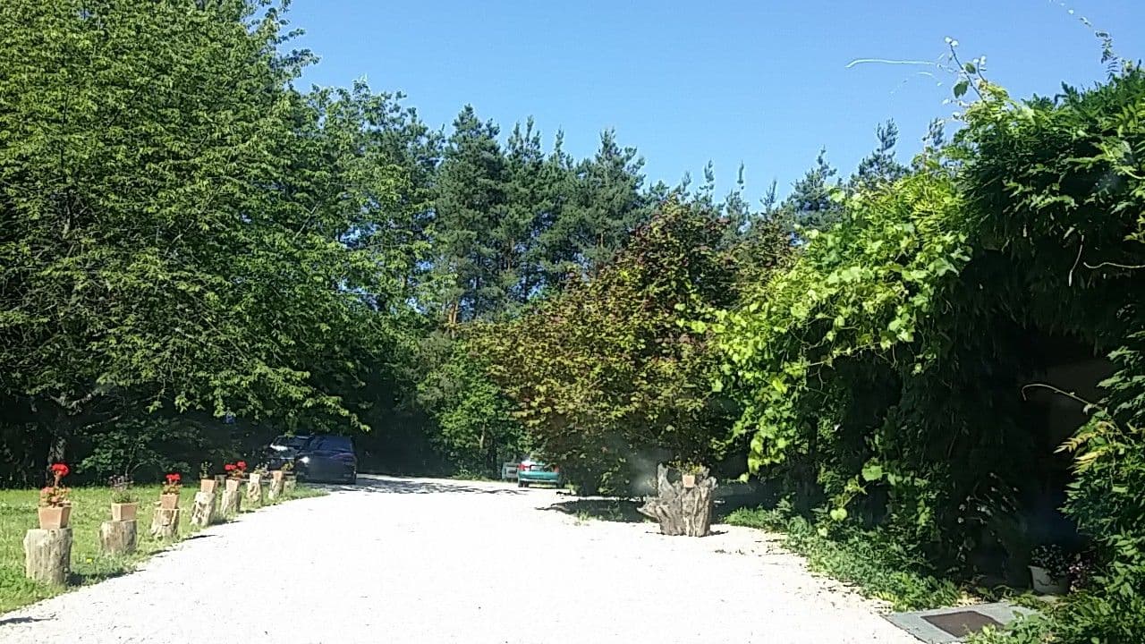 Street view near Madárfészek Panzió, Zalalövő — © utvonalfelmeresek (CC BY-SA · Mapillary)