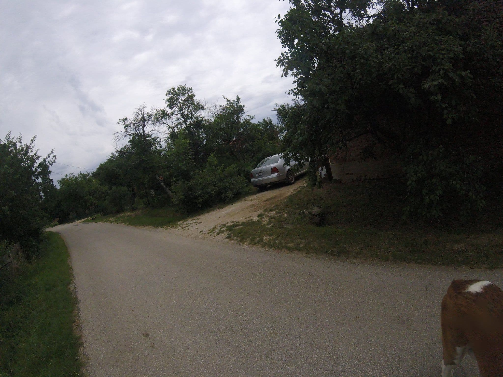 Street view near Őrség szállás - Borbála Vendégház, Zalalövő — © utvonalfelmeresek (CC BY-SA · Mapillary)