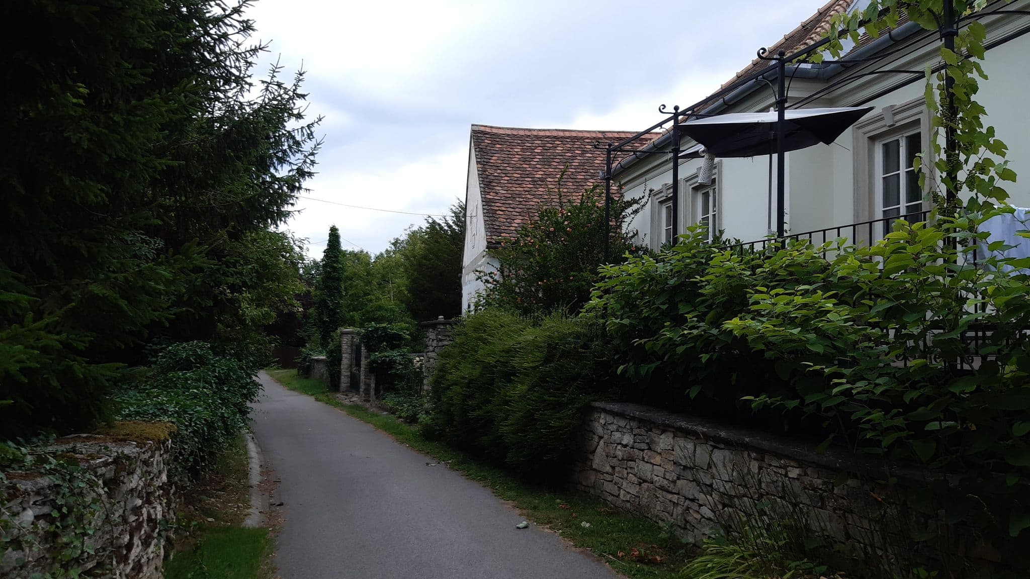 Street view near Sárffy Uradalmi Vendégház, Zánka — © vasony (CC BY-SA · Mapillary)