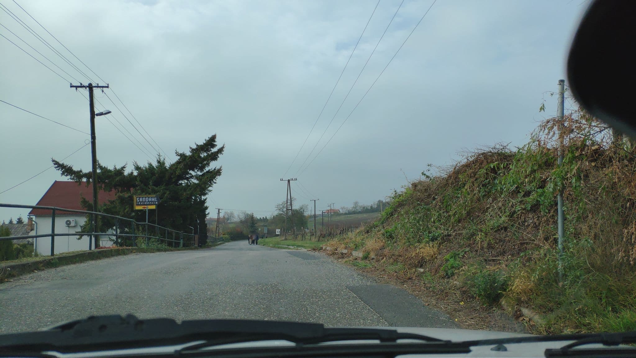 Street view near Rozi Panzió, Badacsonytomaj — © rbader (CC BY-SA · Mapillary)