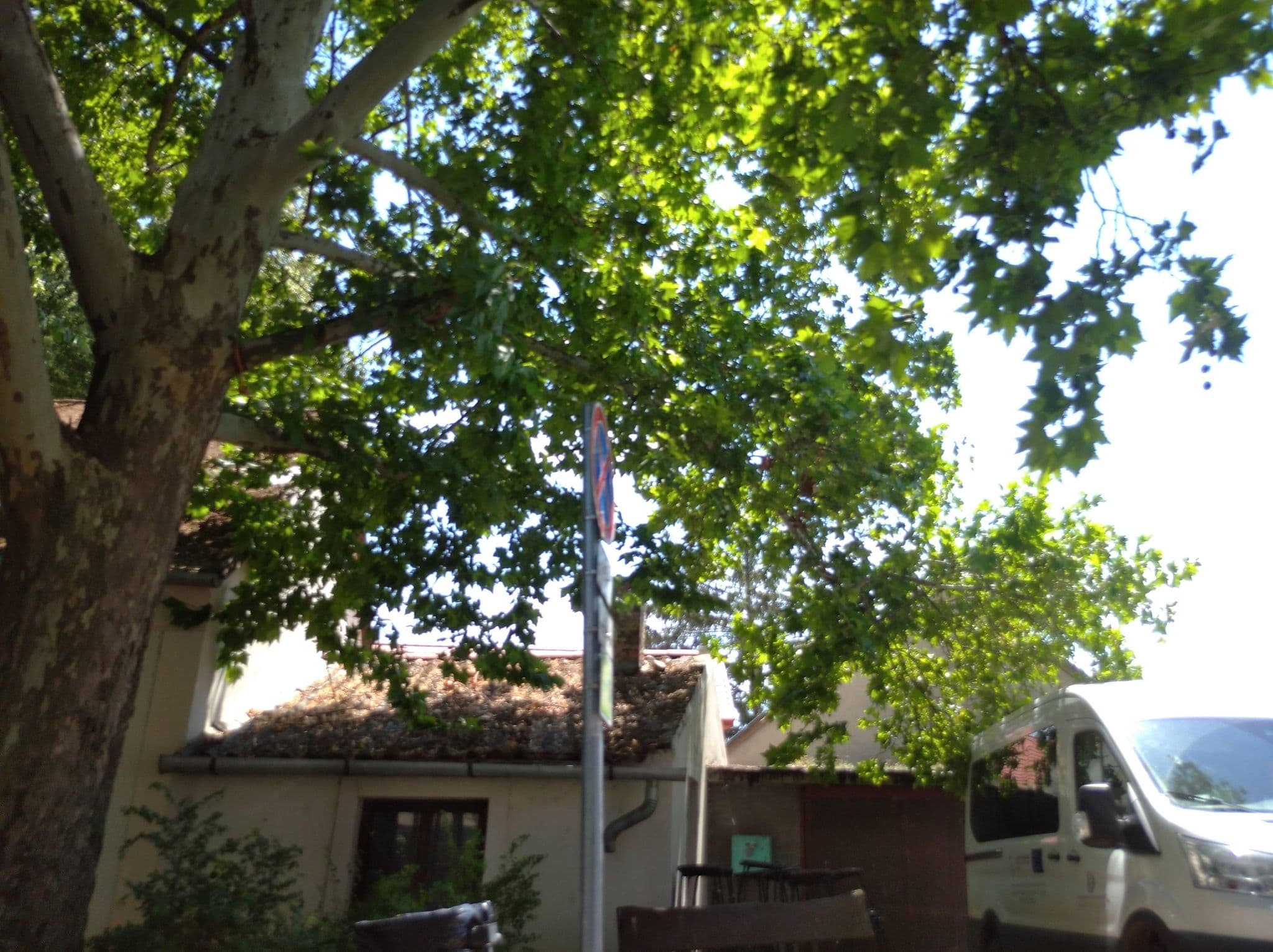 Street view near Eszter Panzió, Révfülöp — © grozsa11 (CC BY-SA · Mapillary)
