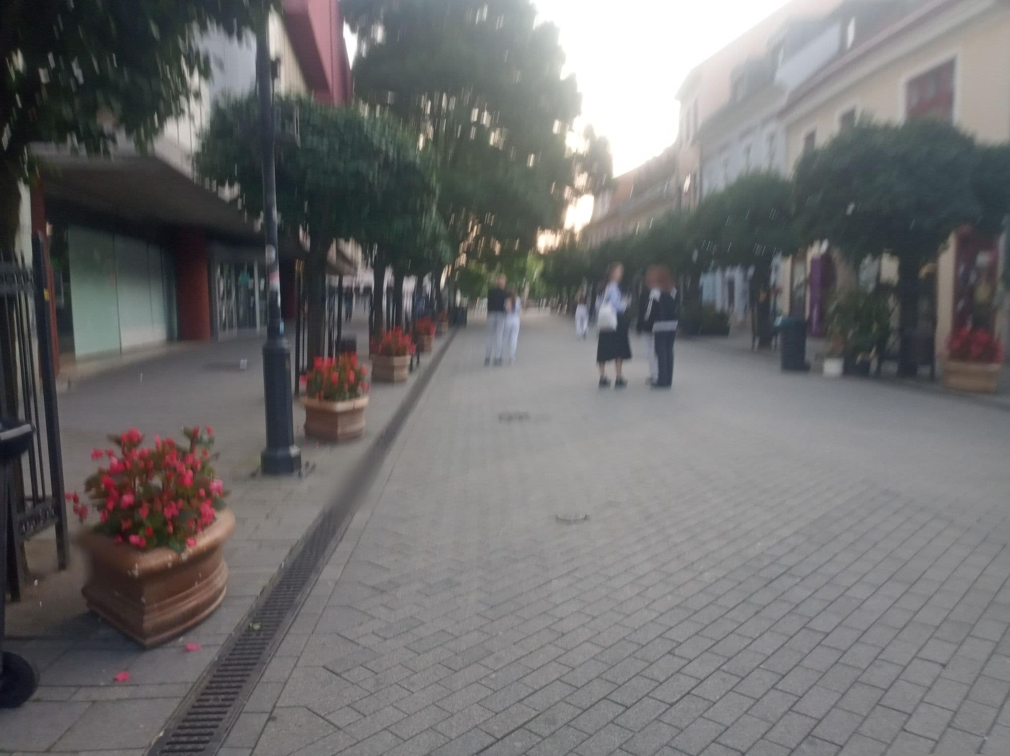 Street view near Lima Pub & Hostel, Győr — © grozsa11 (CC BY-SA · Mapillary)