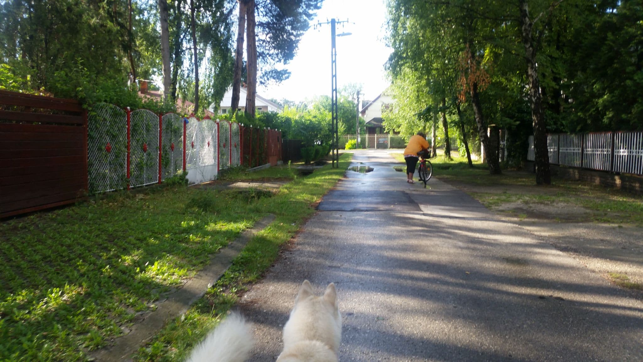 Street view near Csobánc Ház Siófok, Siófok — © hmartin (CC BY-SA · Mapillary)