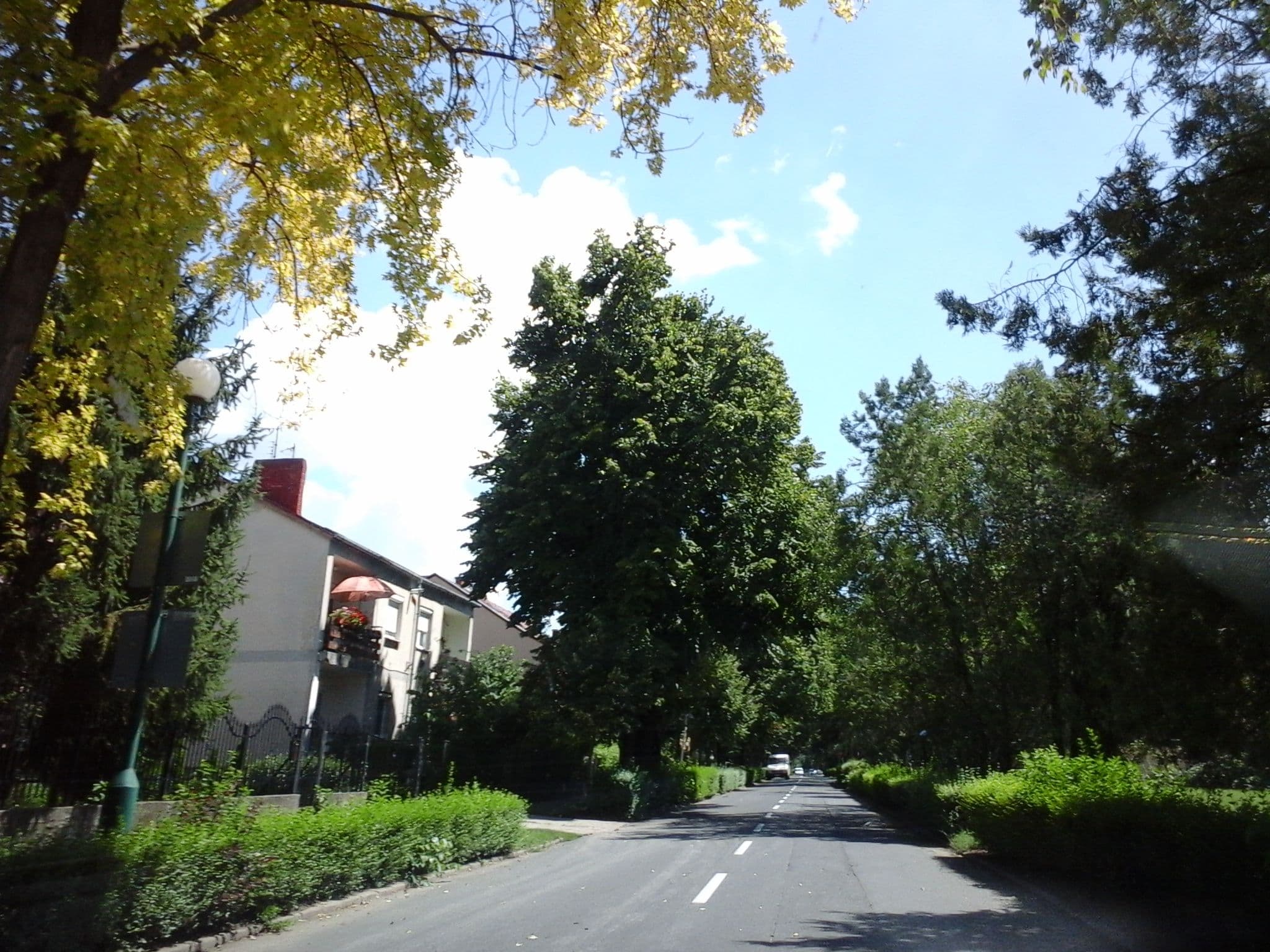 Street view near Hullám Panzió, Hajdúszoboszló — © czadzik (CC BY-SA · Mapillary)