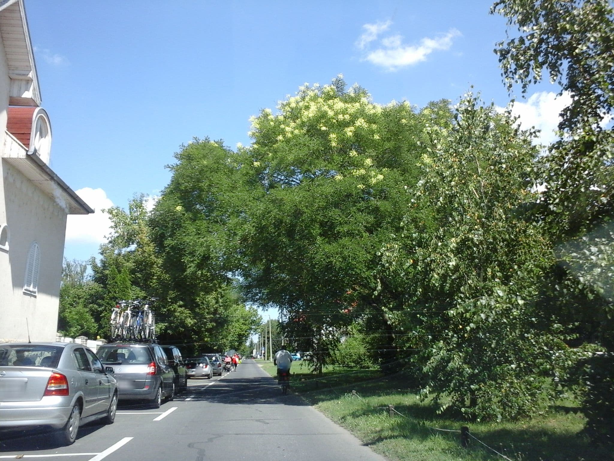 Street view near Apartman Aqua, Hajdúszoboszló — © czadzik (CC BY-SA · Mapillary)