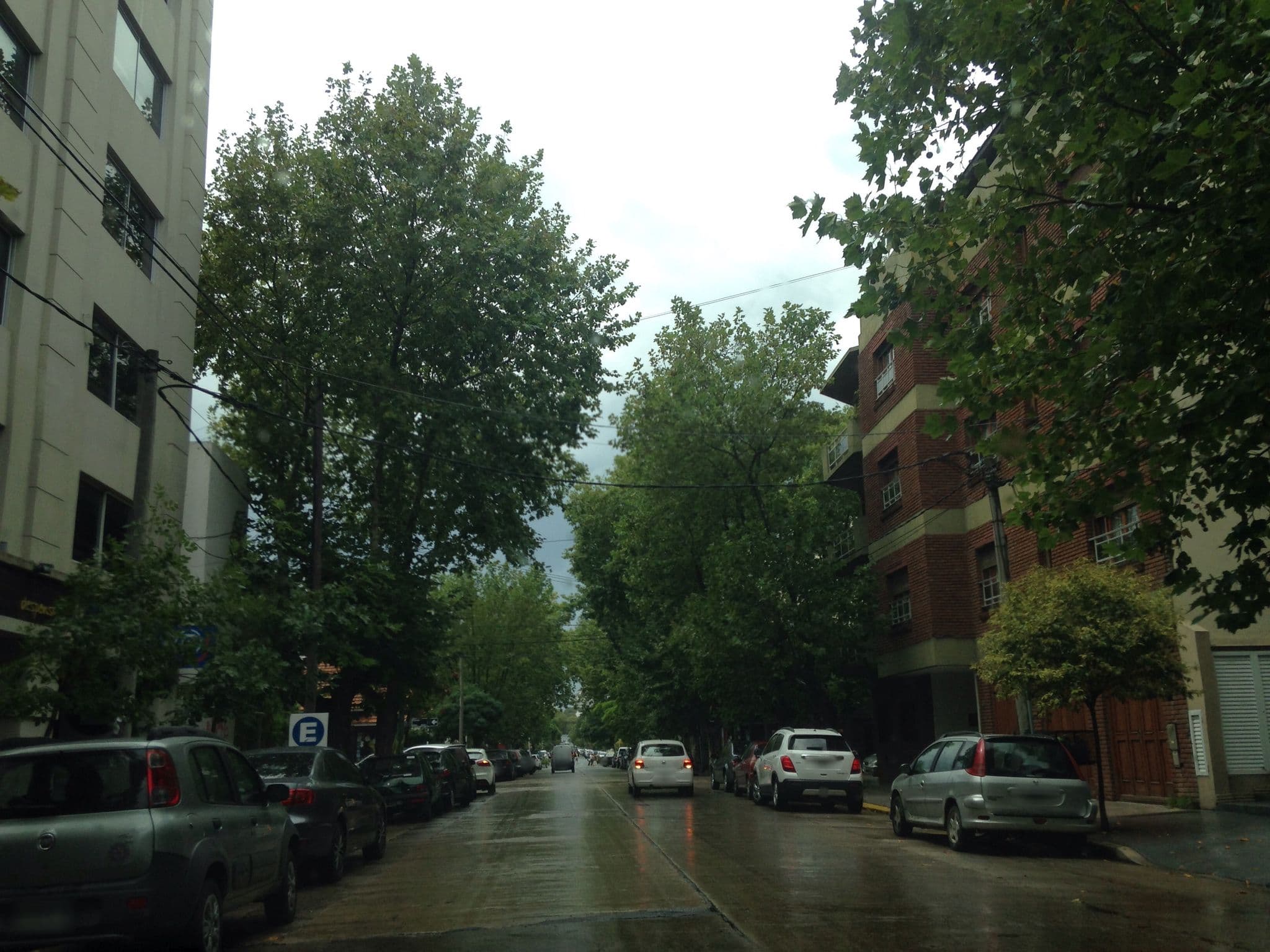 Street view near Hostal del Fénix, Mar del Plata — © maryann (CC BY-SA · Mapillary)