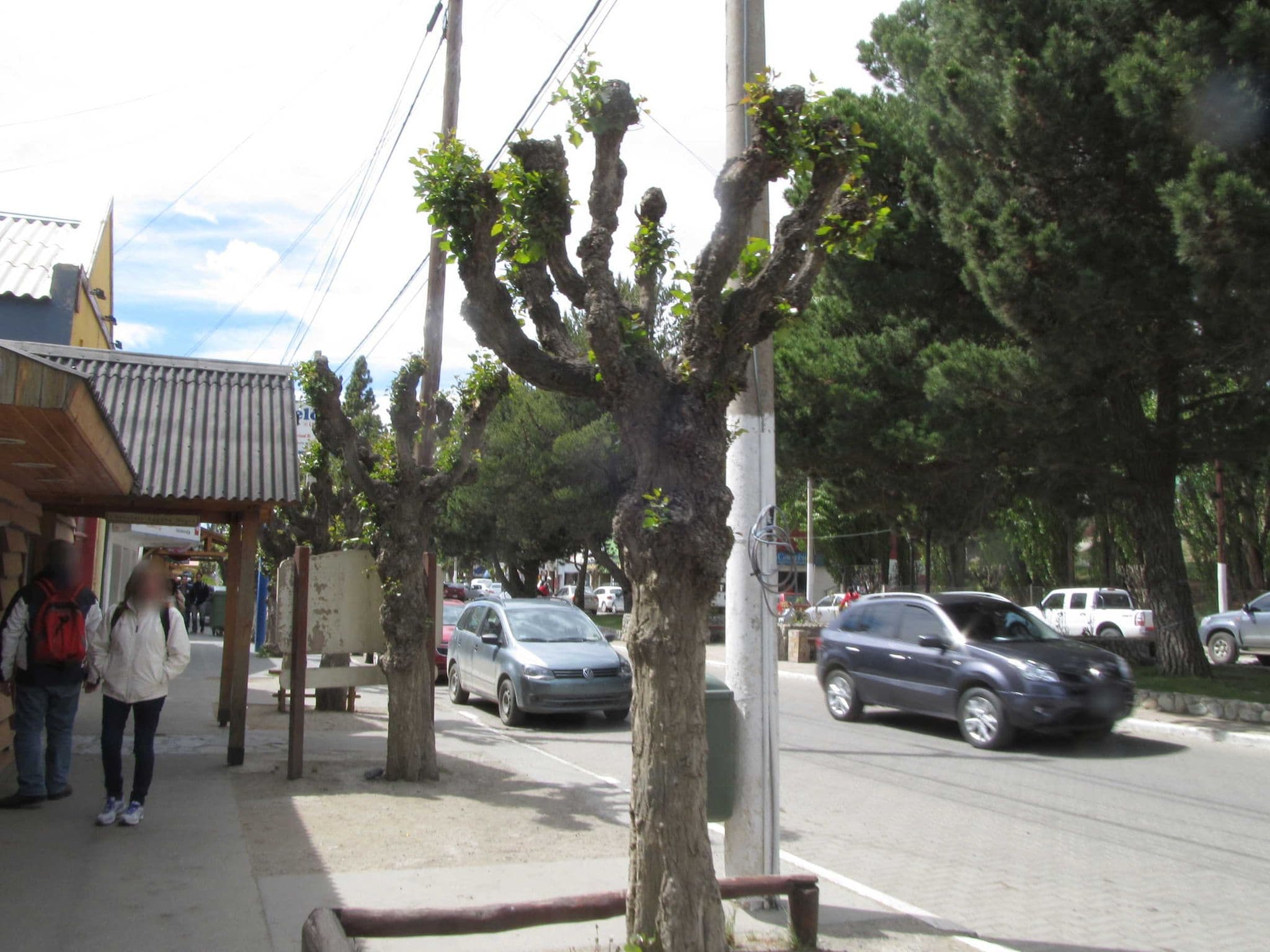 Street view near Alberge Patagonia, El Calafate — © sk53 (CC BY-SA · Mapillary)