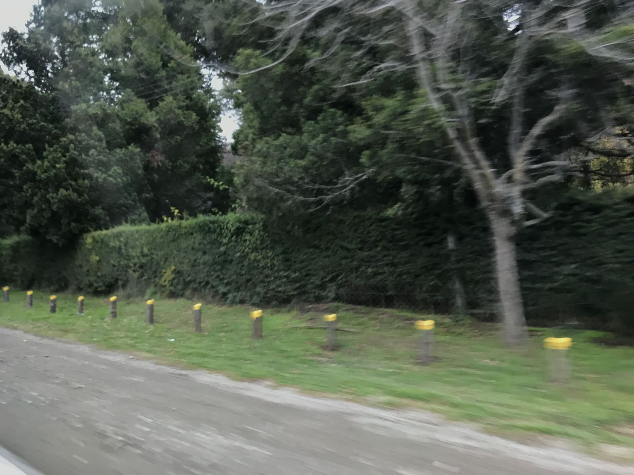 Street view near Hostería Katy, San Carlos de Bariloche — © ejegg (CC BY-SA · Mapillary)