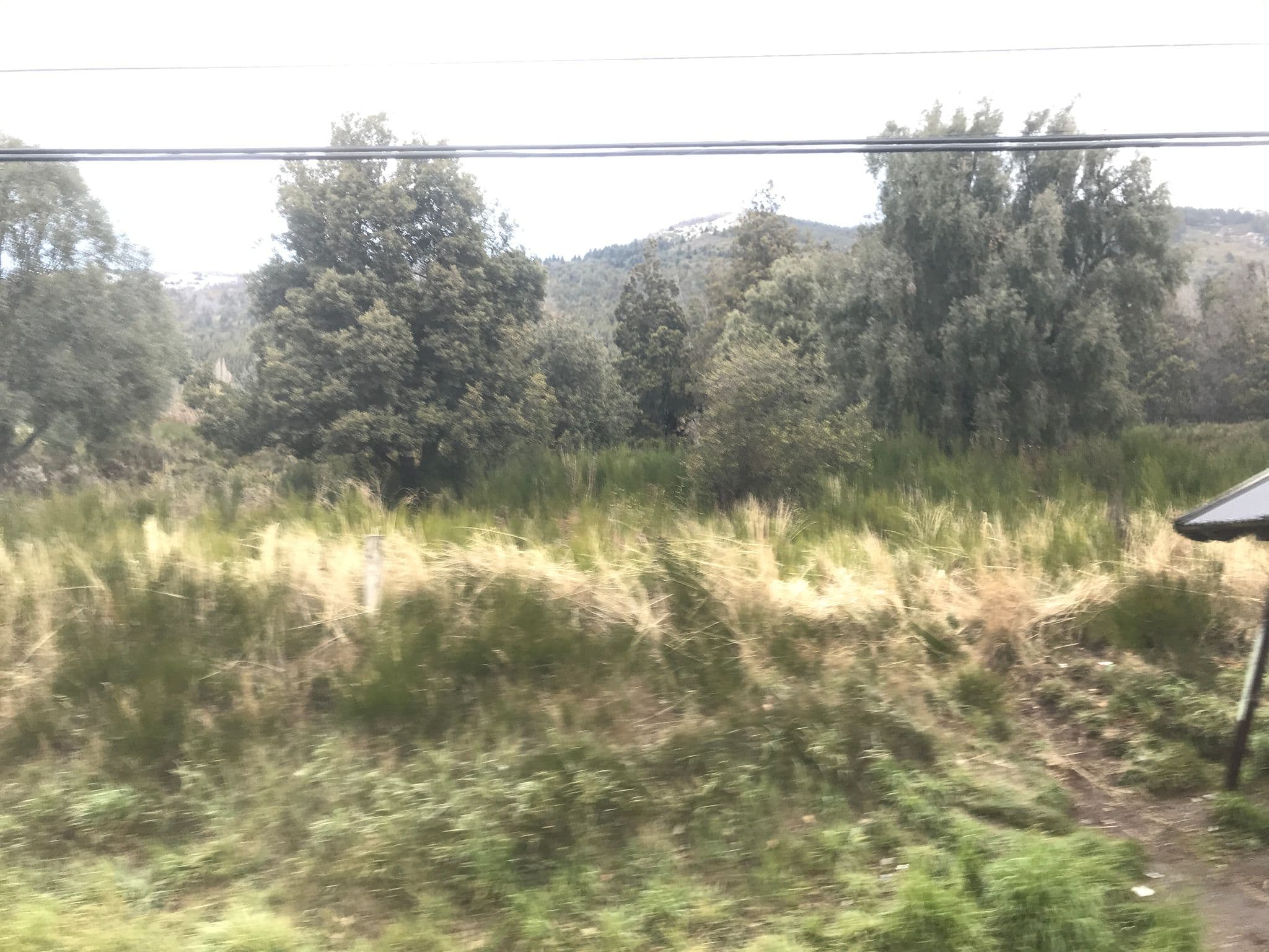 Street view near Bungalows Tucapel, San Carlos de Bariloche — © ejegg (CC BY-SA · Mapillary)